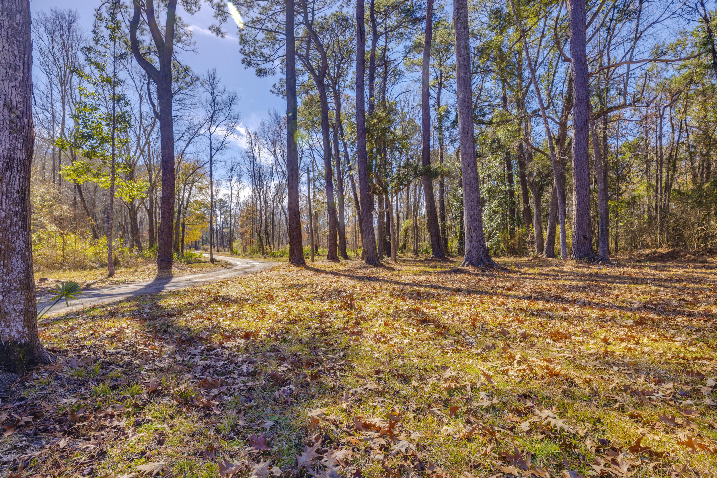 4294 River Road Johns Island, SC 29455 - Photo 20 of 64 106_4294 river rd _mgc7448+hdr