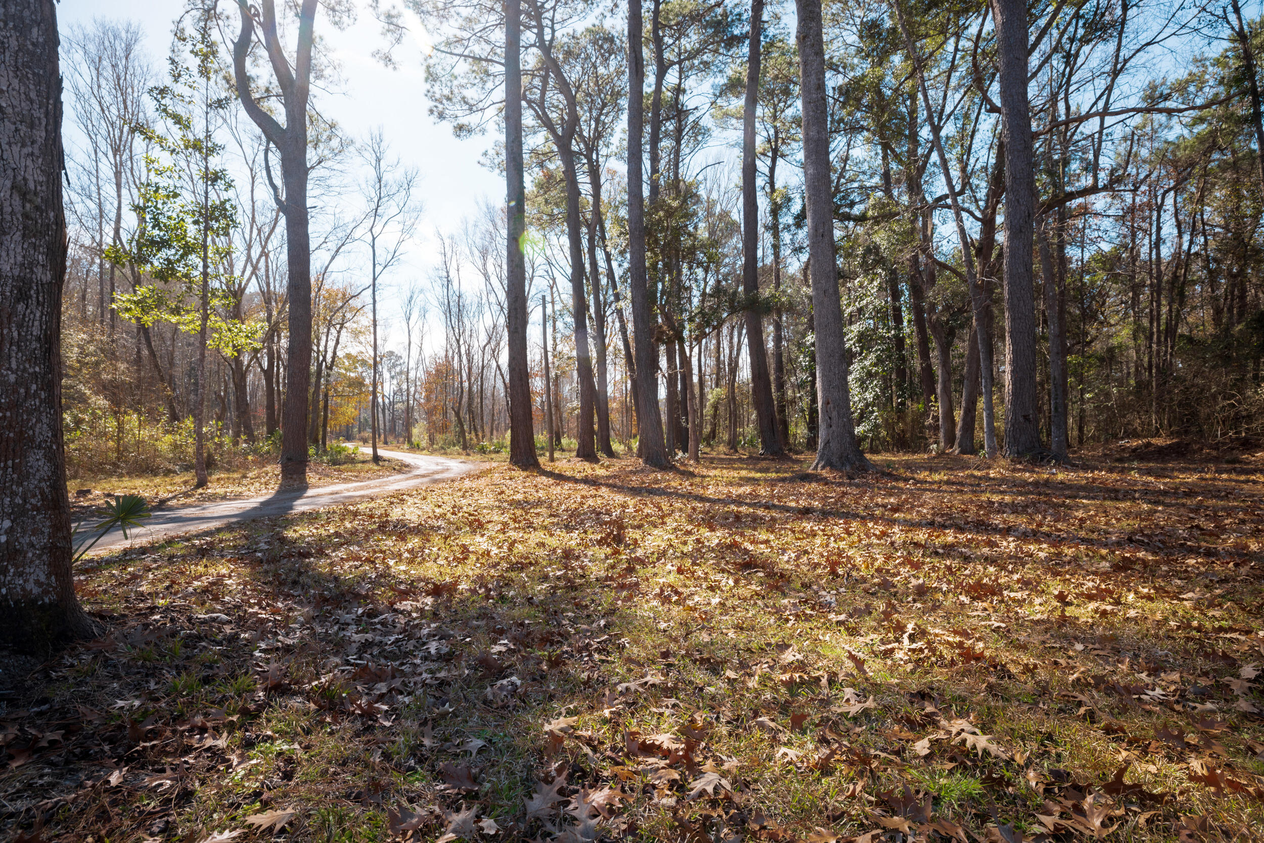 4294 River Road Johns Island, SC 29455 - Photo 21 of 64 105_4294 river rd _mgc7448