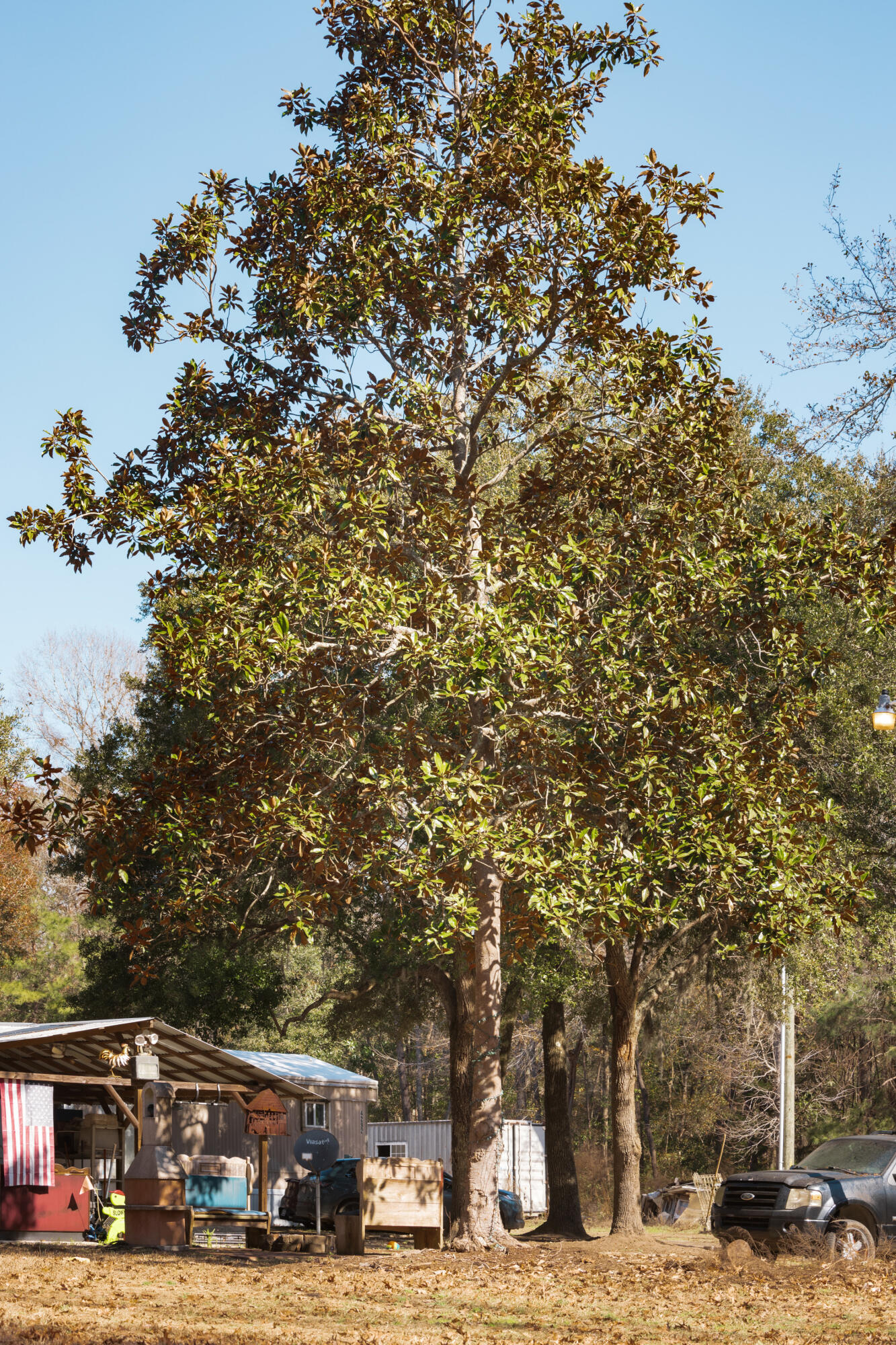 4294 River Road Johns Island, SC 29455 - Photo 23 of 64 102_4294 river rd _mgc7433