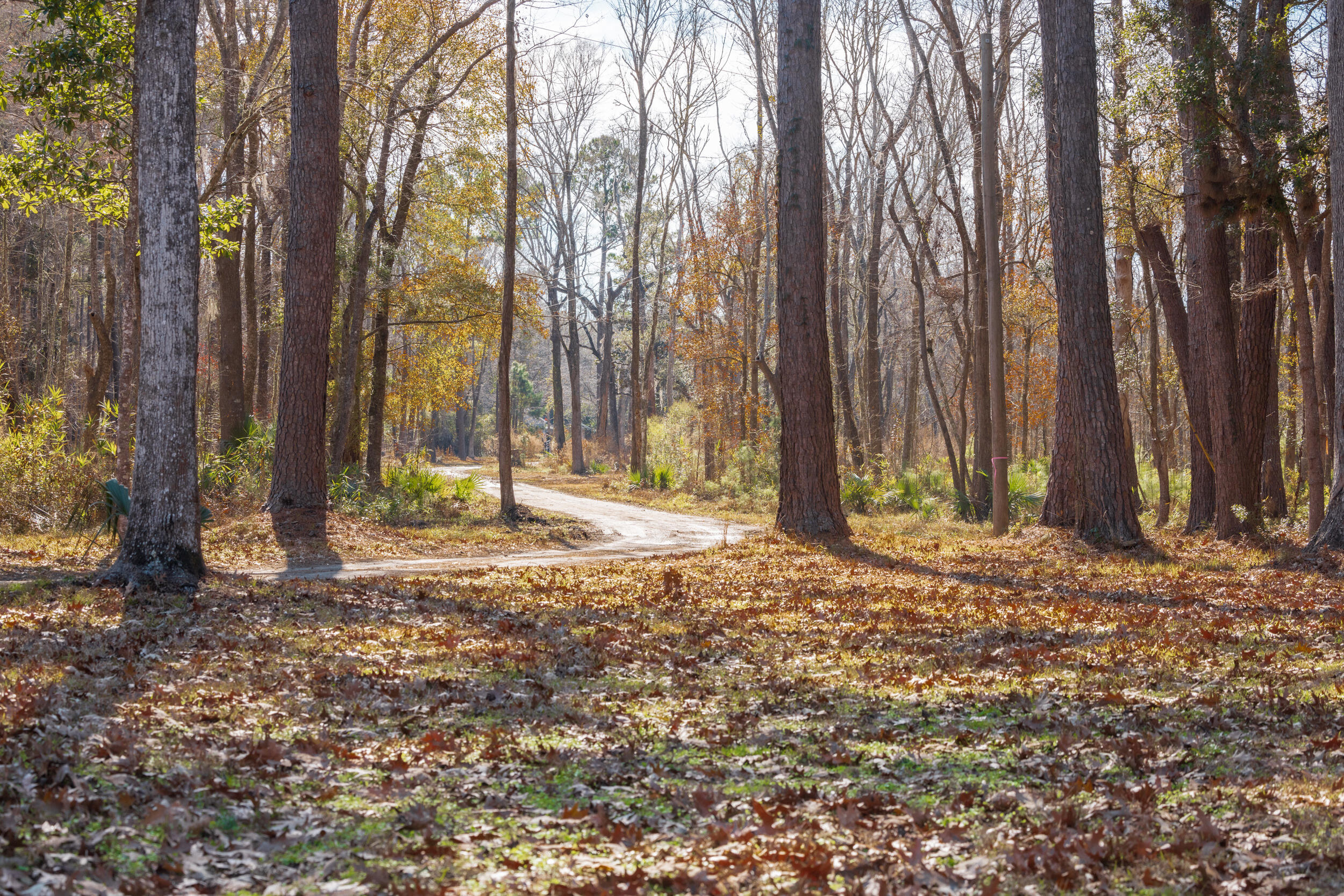 4294 River Road Johns Island, SC 29455 - Photo 29 of 64 94_4294 river rd _mgc7391