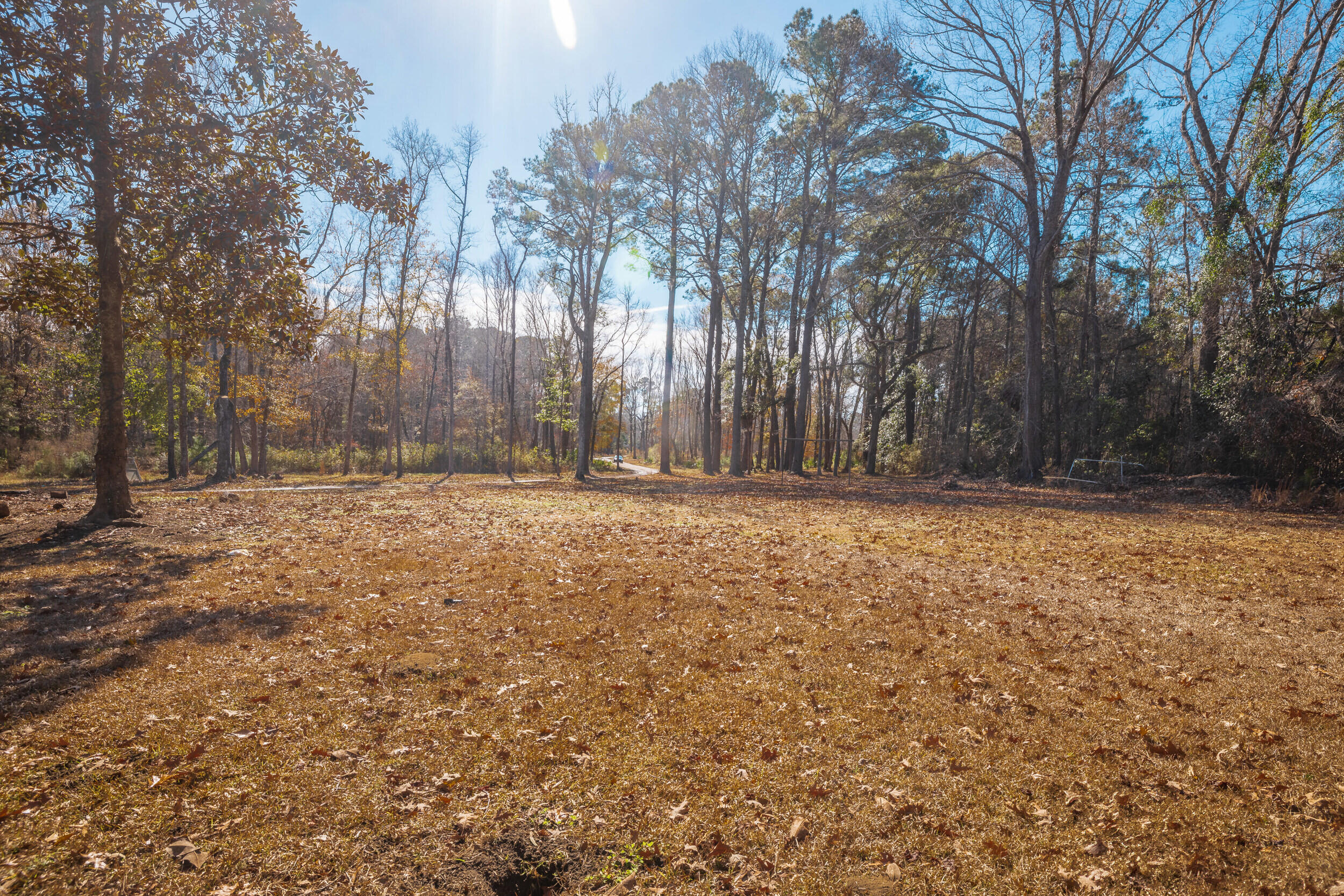 4294 River Road Johns Island, SC 29455 - Photo 31 of 64 70_4294 river rd _mgc7310