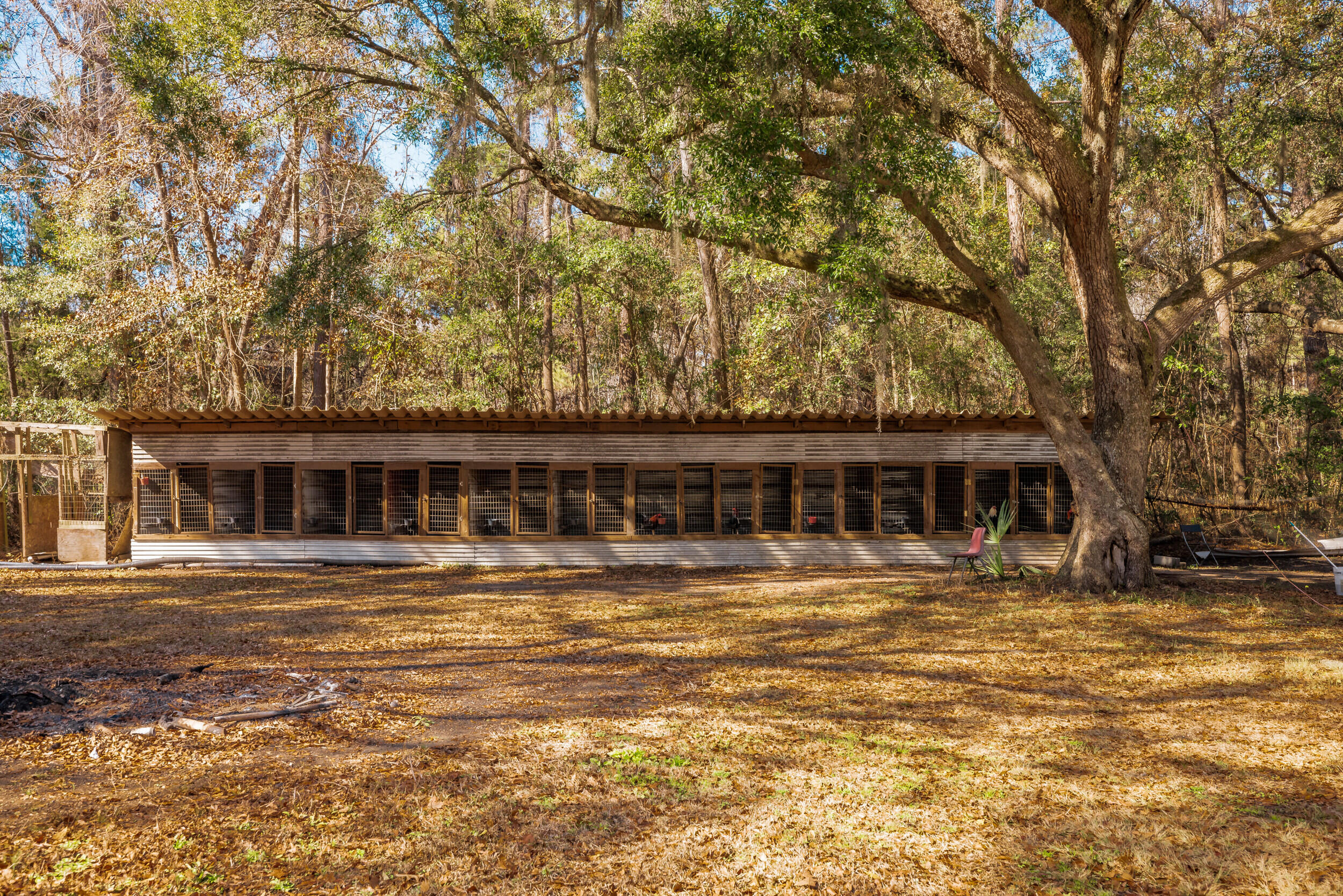 4294 River Road Johns Island, SC 29455 - Photo 34 of 64 65_4294 river rd _mgc7277