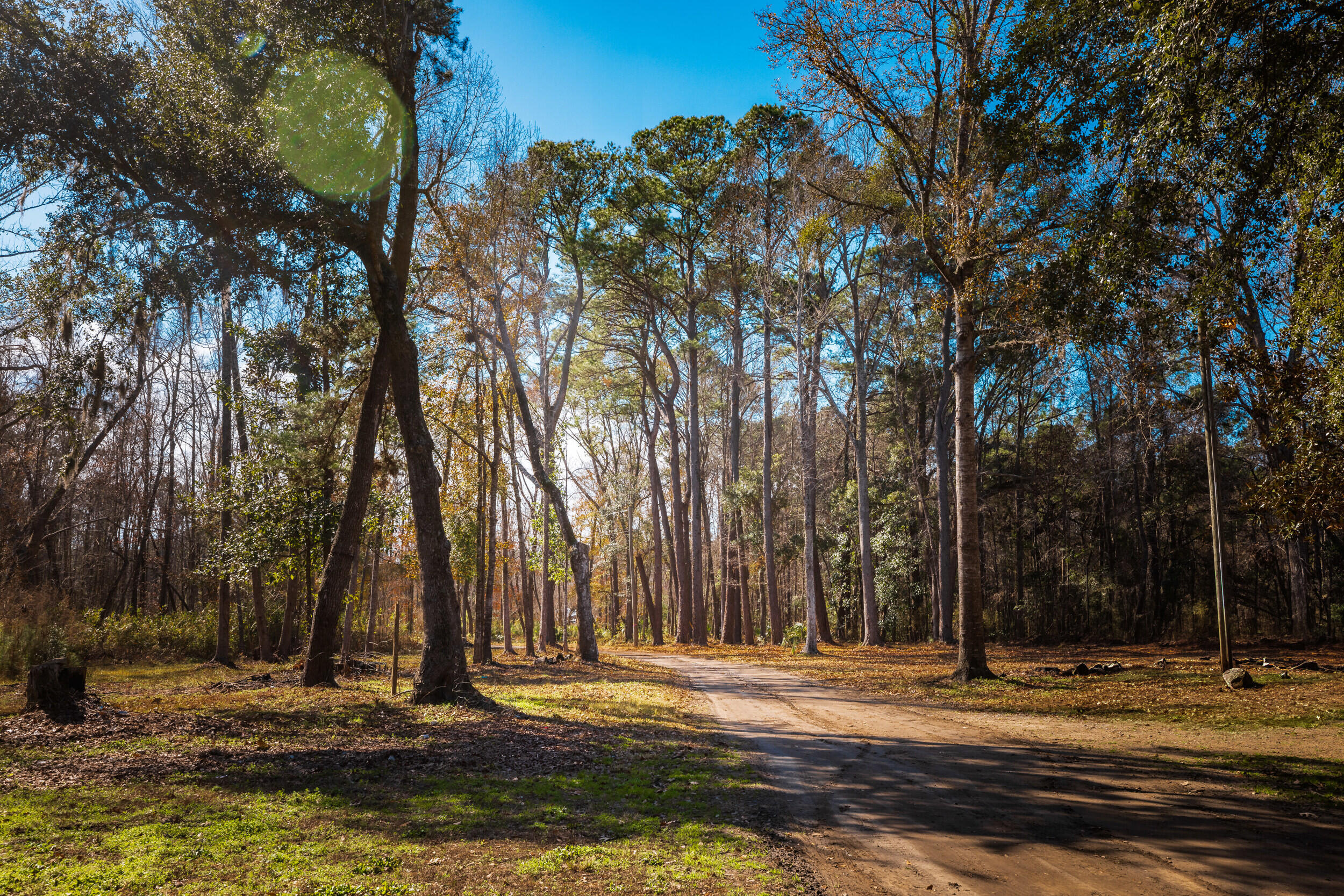 4294 River Road Johns Island, SC 29455 - Photo 38 of 64 44_4294 river rd _mgc7193