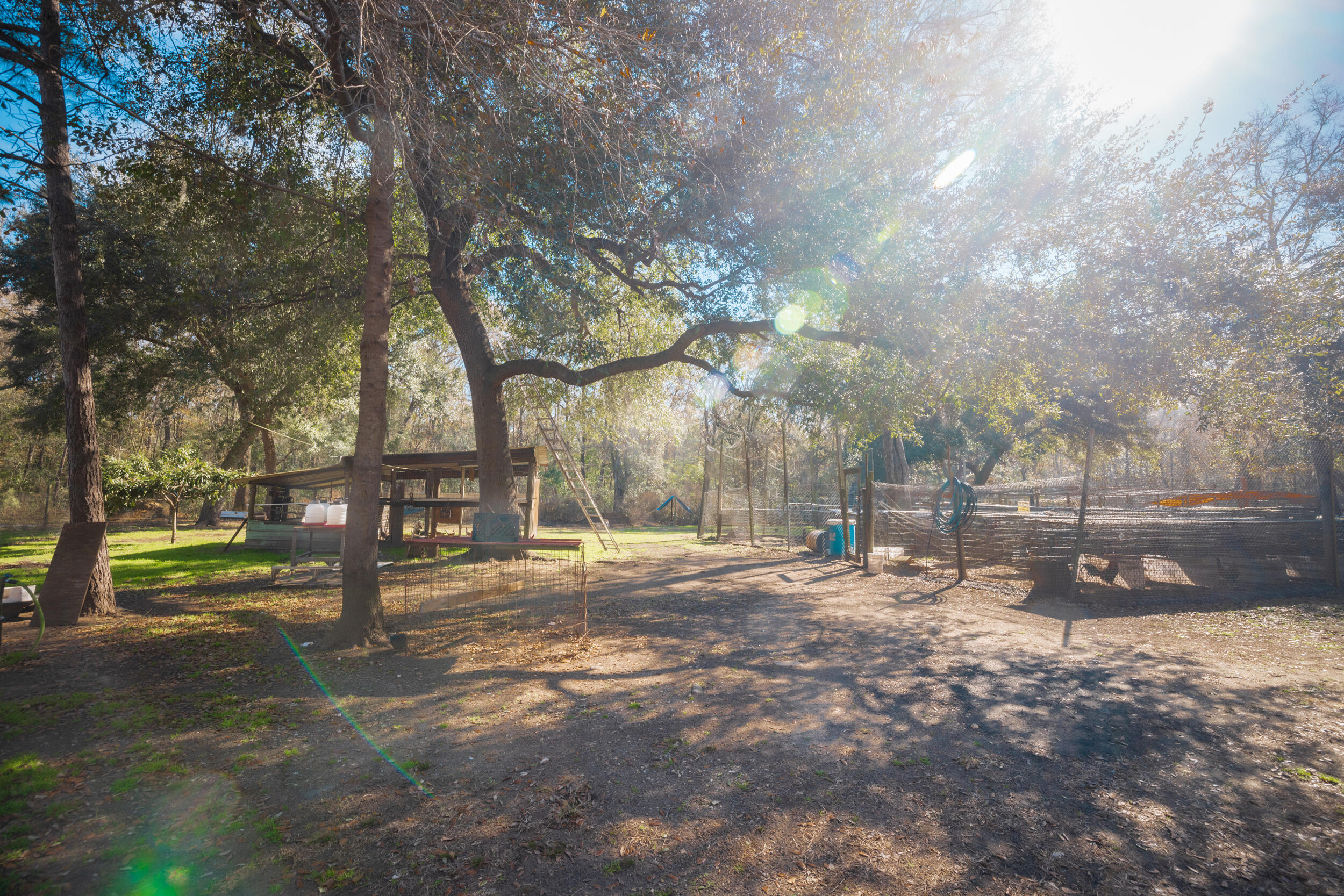4294 River Road Johns Island, SC 29455 - Photo 50 of 64 20_4294 river rd _mgc7034