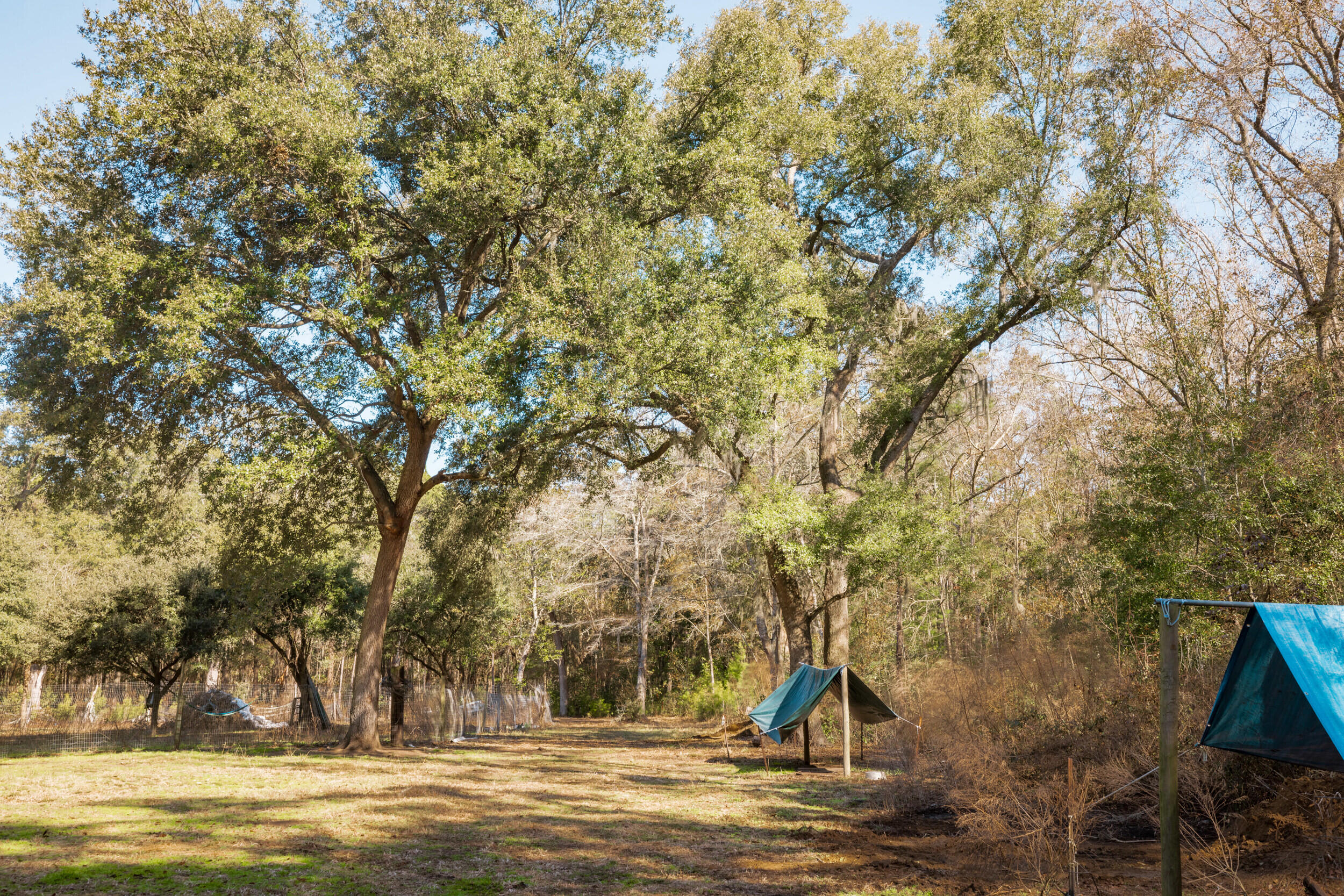 4294 River Road Johns Island, SC 29455 - Photo 52 of 64 17_4294 river rd _mgc7004