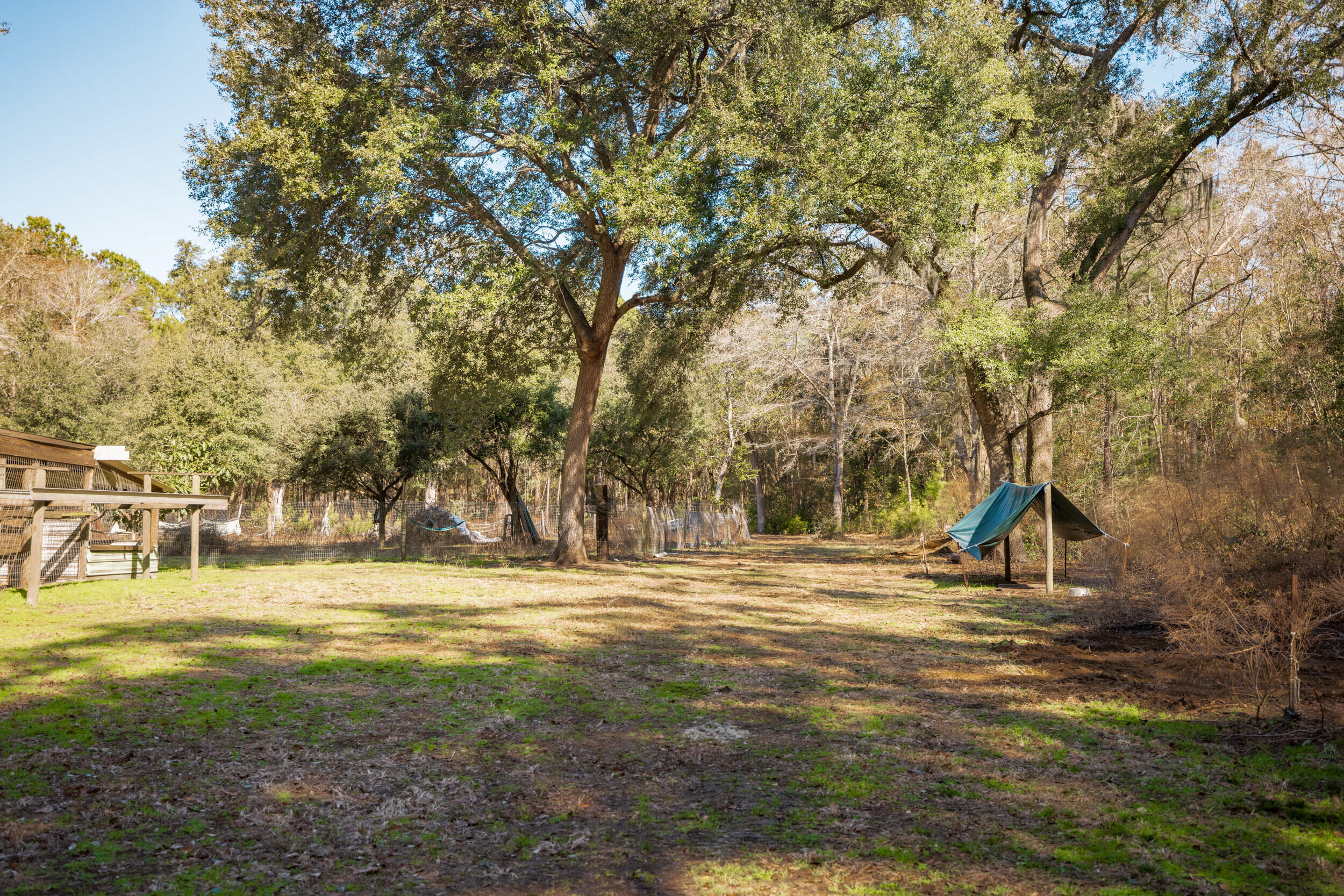 4294 River Road Johns Island, SC 29455 - Photo 53 of 64 16_4294 river rd _mgc6989