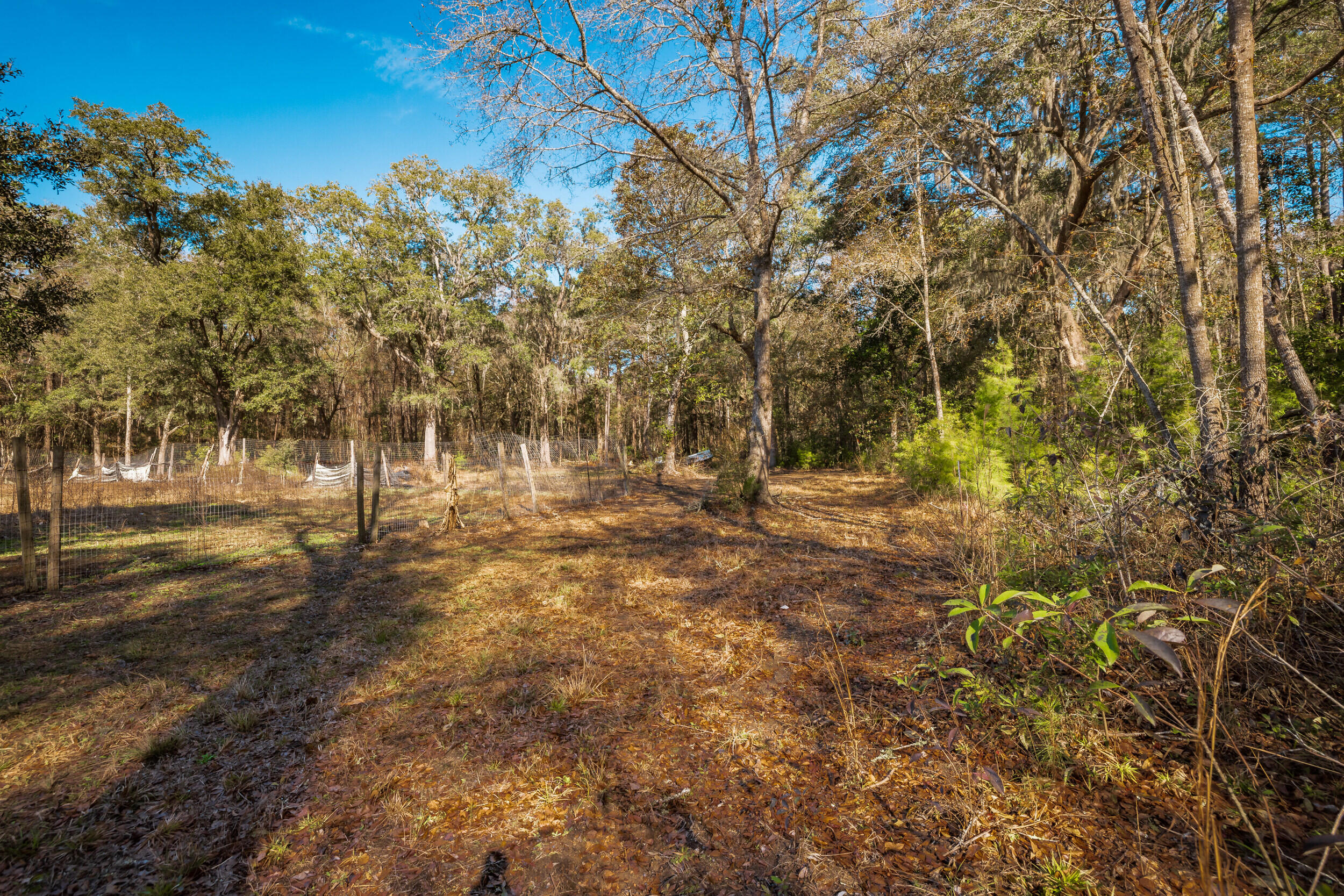 4294 River Road Johns Island, SC 29455 - Photo 55 of 64 14_4294 river rd _mgc6962