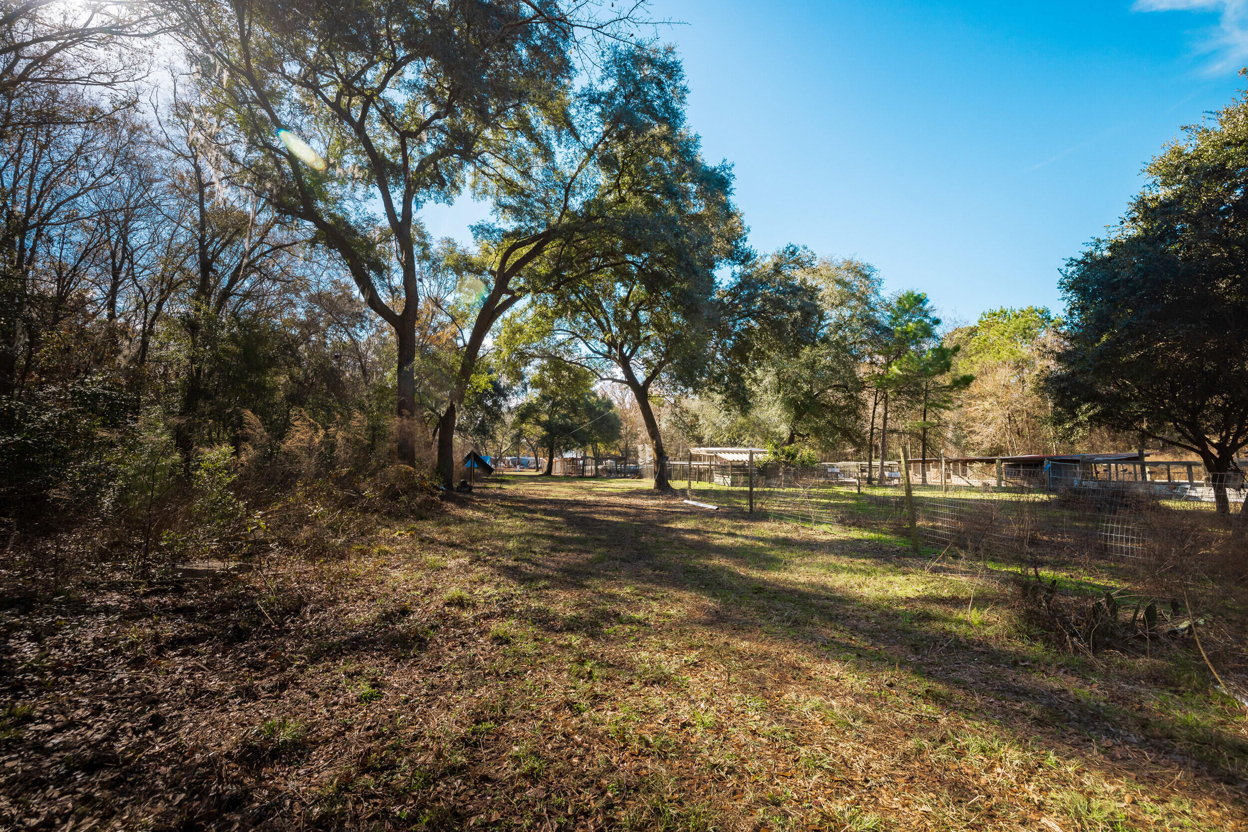 4294 River Road Johns Island, SC 29455 - Photo 56 of 64 12_4294 river rd _mgc6959