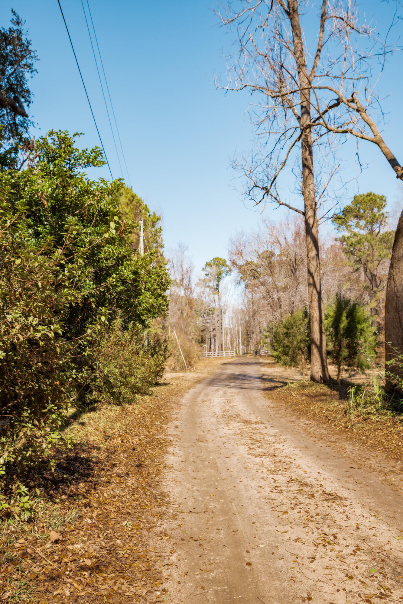 4294 River Road Johns Island, SC 29455 - Photo 7 of 64 126_4294 river rd _mgc7535
