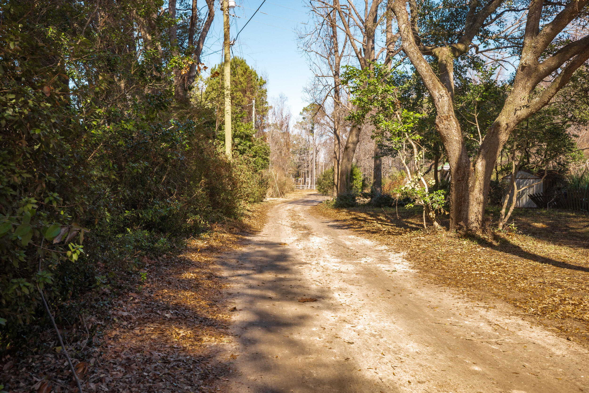 4294 River Road Johns Island, SC 29455 - Photo 9 of 64 124_4294 river rd _mgc7523