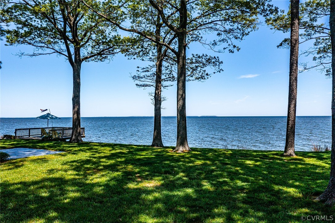 324 Fleet Road Heathsville, VA 22473 - Photo 6 of 49 a view of a yard with an tree
