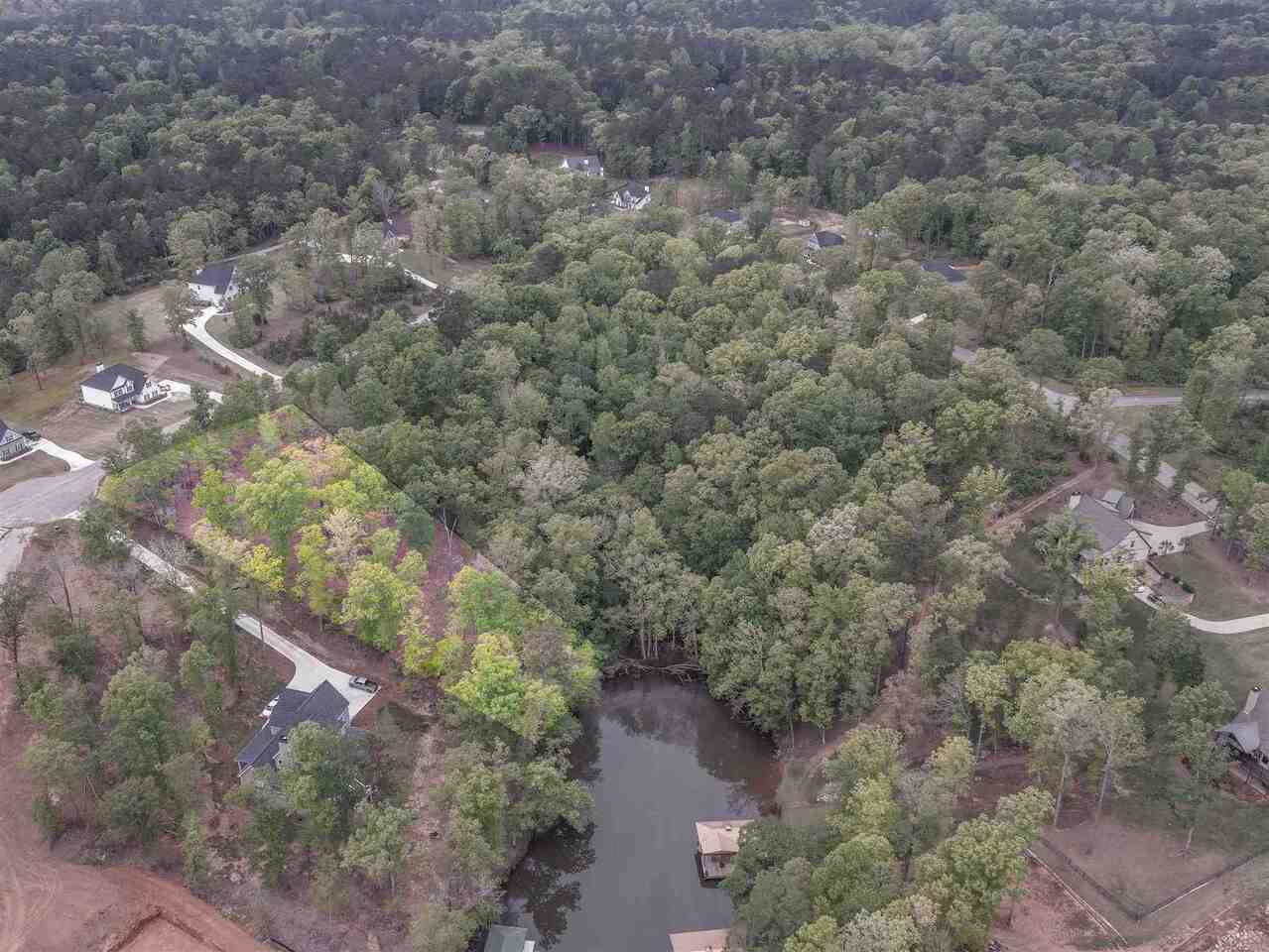 209 River Point Road, Unit LOT 14 Jackson, GA 30233 - Photo 1 of 1 a view of a forest with a tree