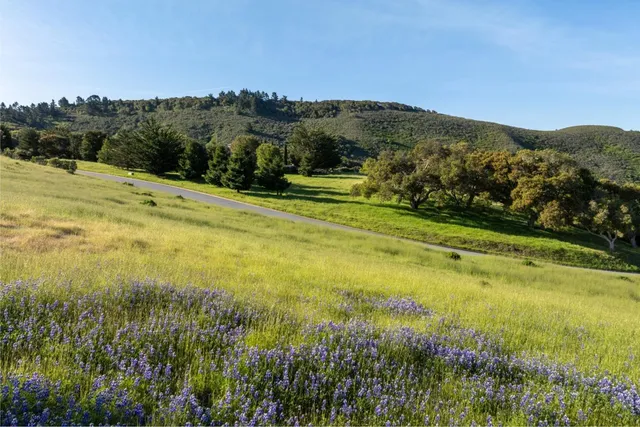 a view of a lake with a mountain in the background