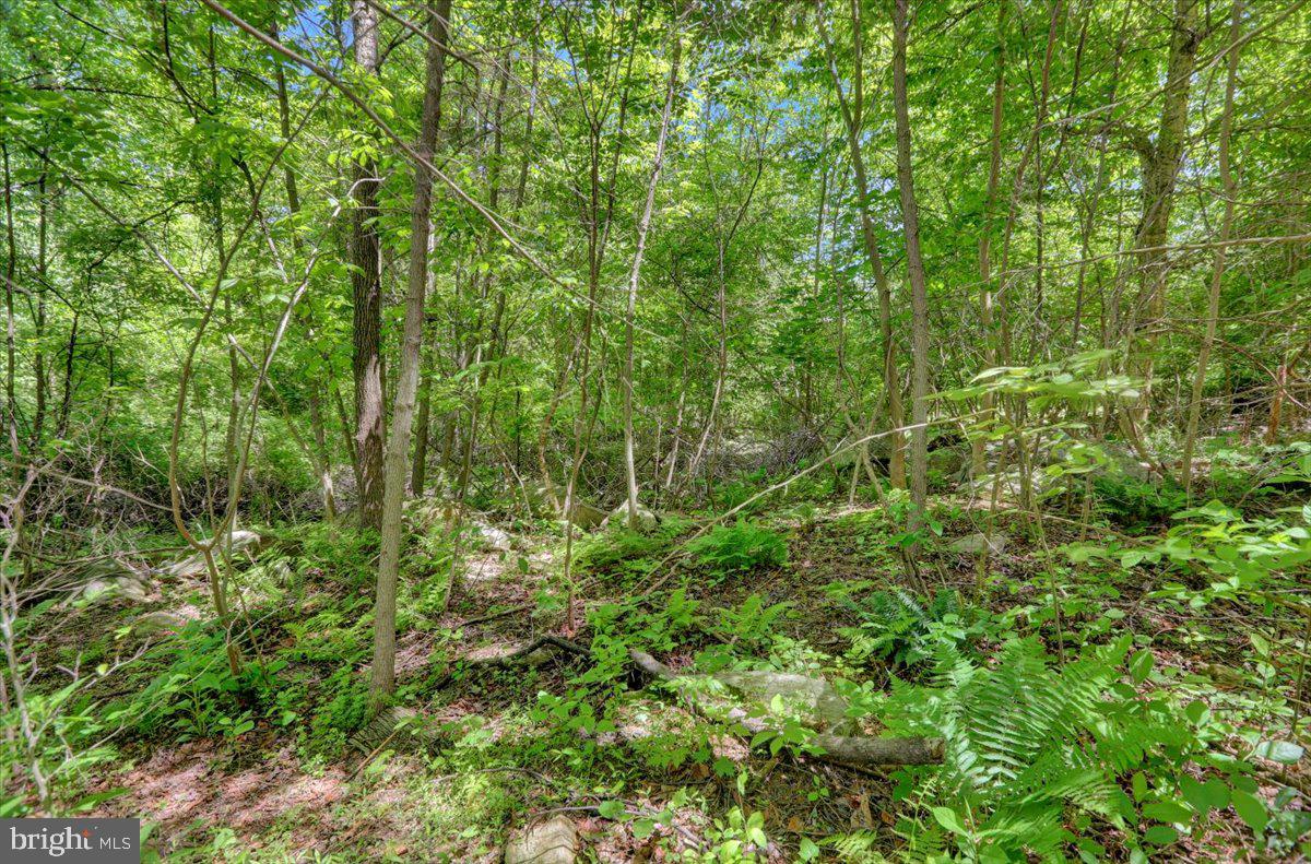 0 Huffs Church Road Barto, PA 19504 - Photo 6 of 8