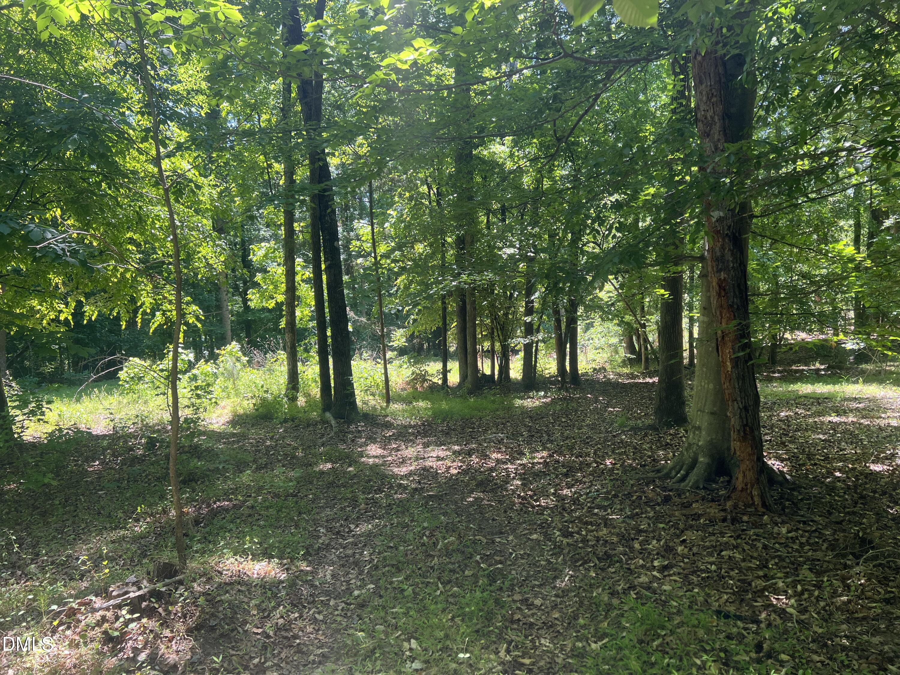 0 Jones Ferry Road Pittsboro, NC 27312 - Photo 1 of 5 IMG_3268
