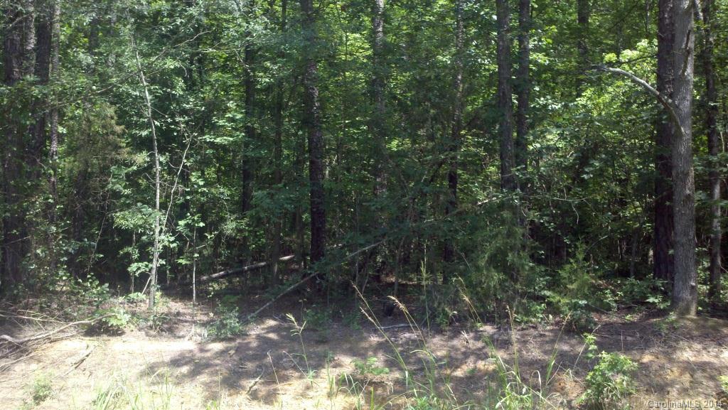 0 L J L J Whitley Road Monroe, NC 28112 - Photo 1 of 7 Gallery Image 1