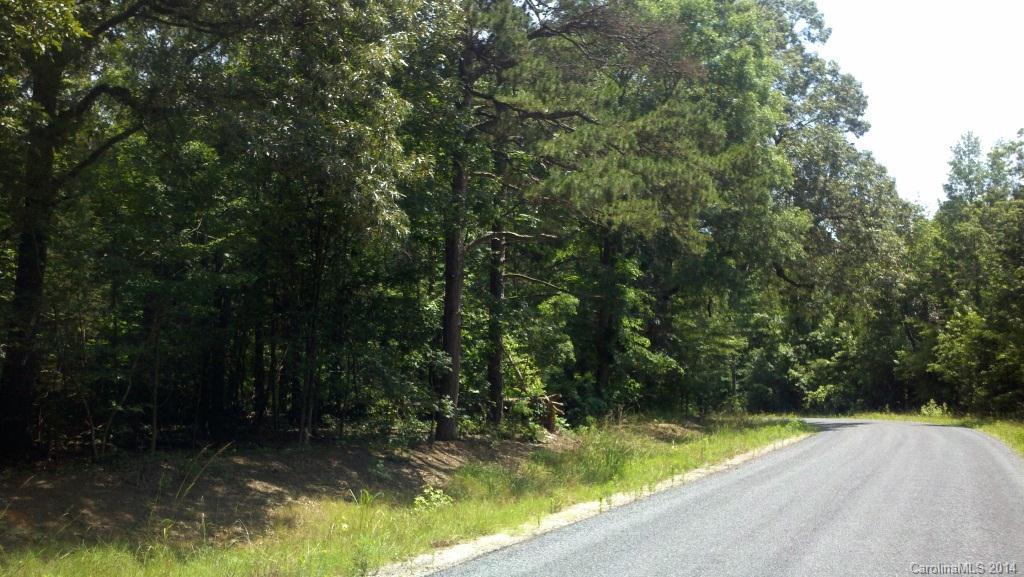 0 L J L J Whitley Road Monroe, NC 28112 - Photo 2 of 7 Gallery Image 2