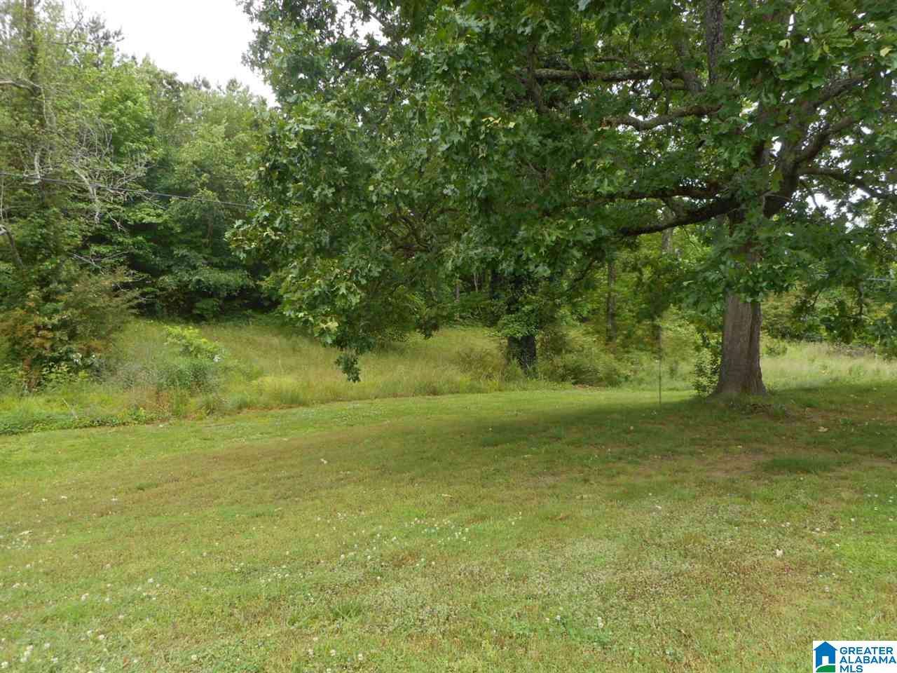 146 Rogers Road Oneonta, AL 35121 - Photo 13 of 13
