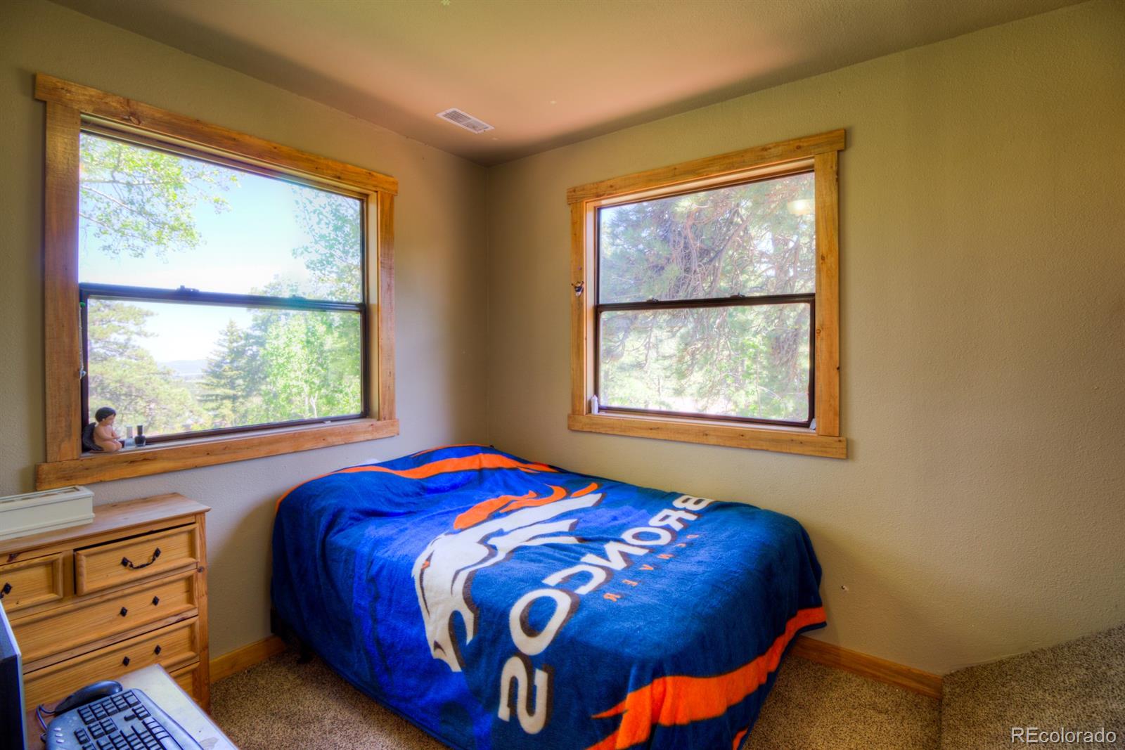 1126 Old Squaw Pass Road Evergreen, CO 80439 - Photo 19 of 29 Gallery Image 19