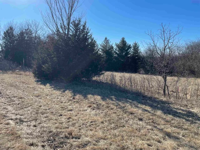 a view of backyard with green space