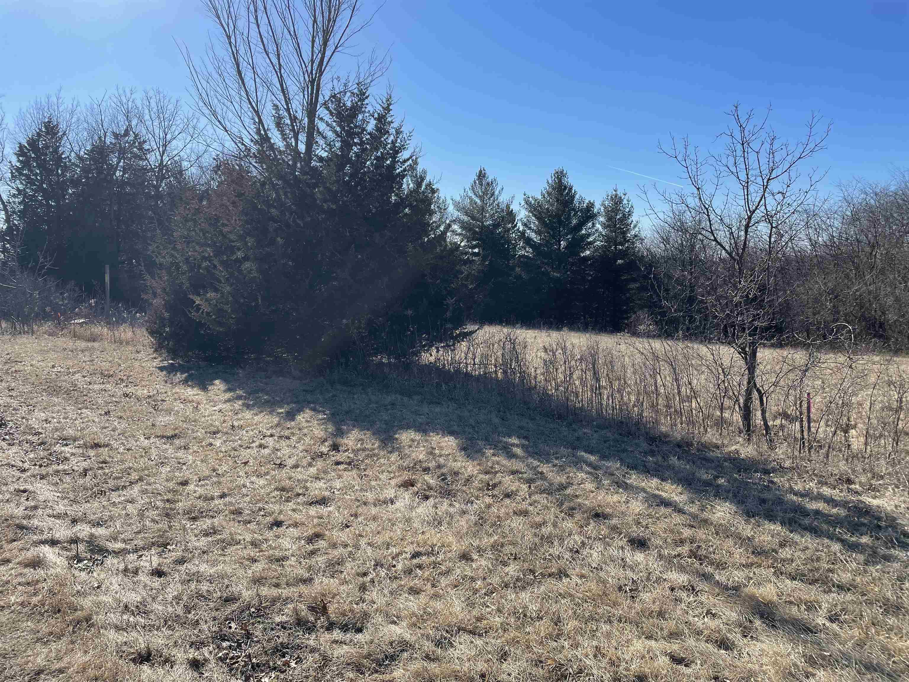 33 Lake Ridge Road Galena, IL 61036 - Photo 3 of 4 a view of backyard with green space