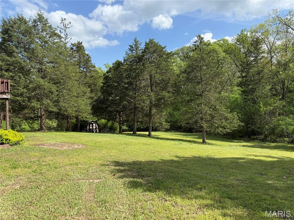 6958 Local Hillsboro Road Cedar Hill, MO 63016 - Photo 4 of 4