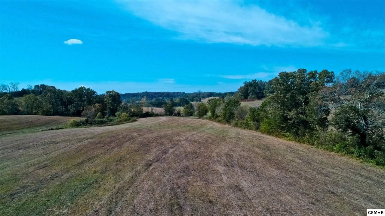2 Timber Ridge Road Greeneville, TN 37743 - Photo 6 of 27 Gallery Image 6