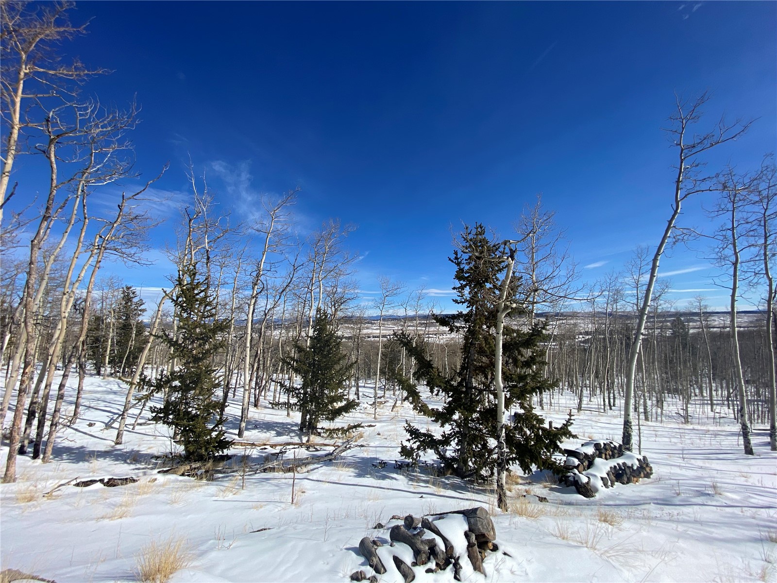 893 Lumberjack Road Fairplay, CO 80440 - Photo 5 of 34 Gallery Image 5