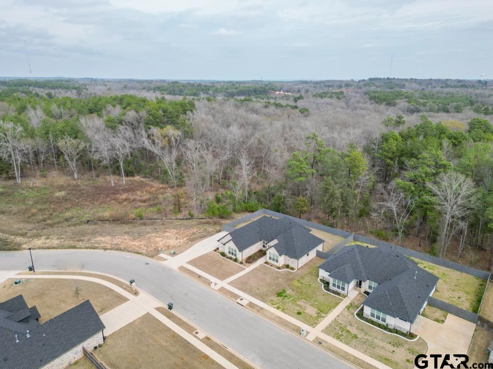 3531 Chapel View Tyler, TX 75707 - Photo 46 of 48 a view of a lake with mountain