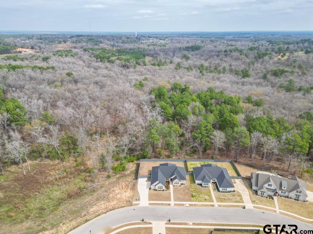 3531 Chapel View Tyler, TX 75707 - Photo 48 of 48 a view of swimming pool with lawn chairs