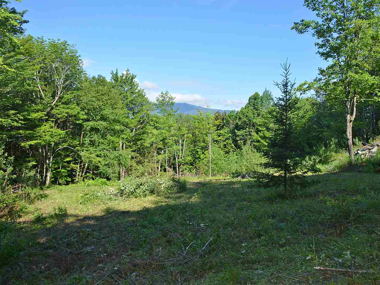 0 Cider Hill Road Warren, VT 05674 - Photo 11 of 40
