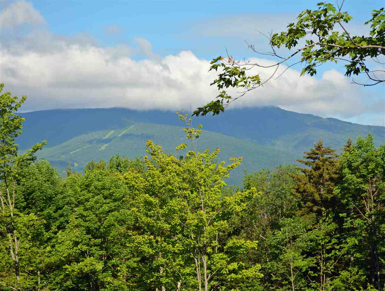 0 Cider Hill Road Warren, VT 05674 - Photo 21 of 40