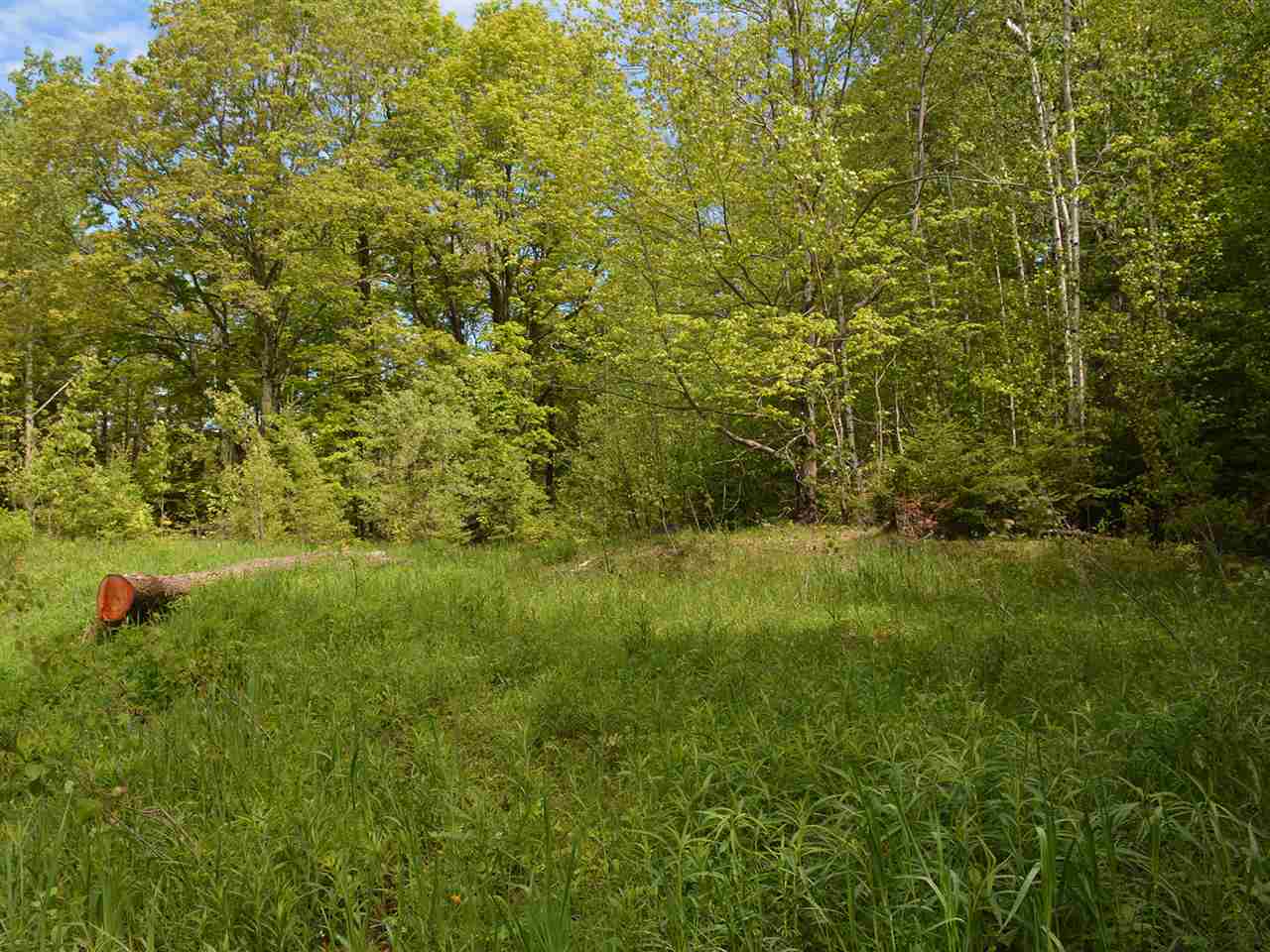 0 Cider Hill Road Warren, VT 05674 - Photo 22 of 40