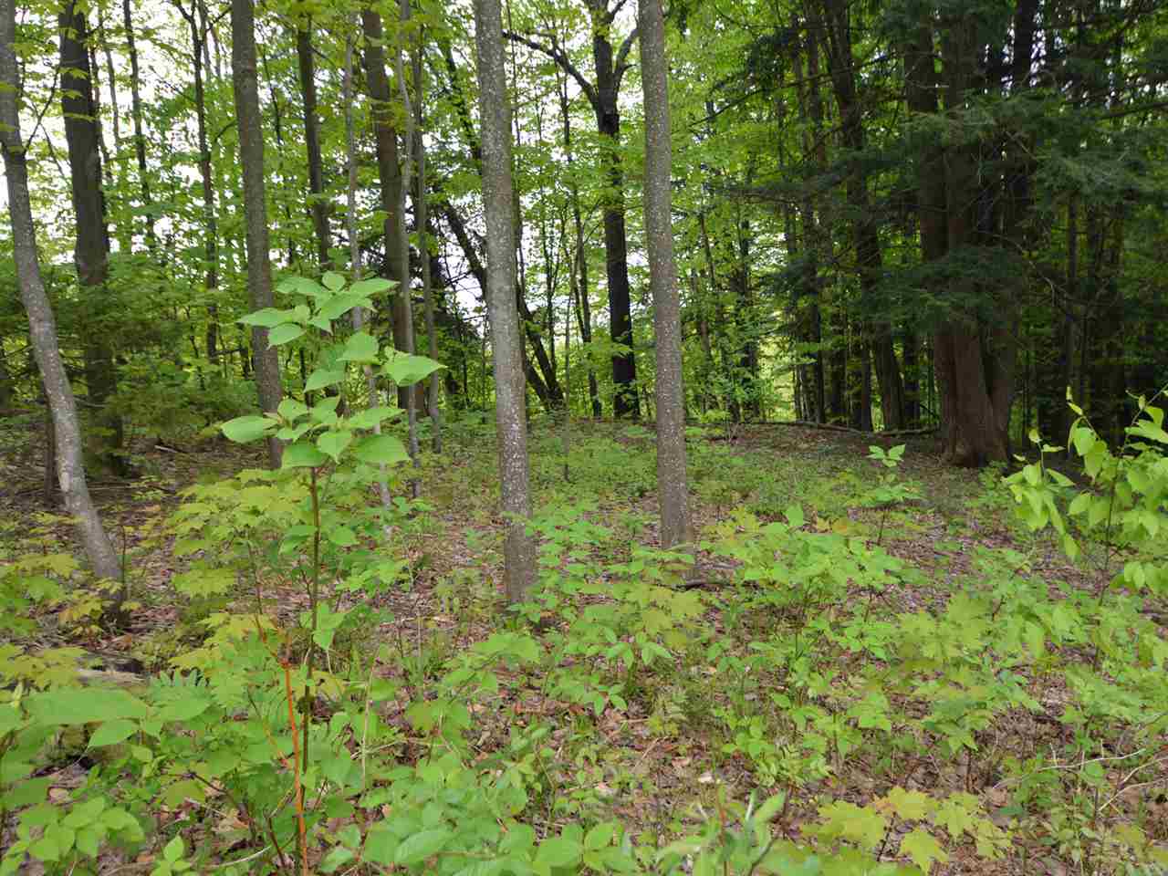 0 Cider Hill Road Warren, VT 05674 - Photo 24 of 40