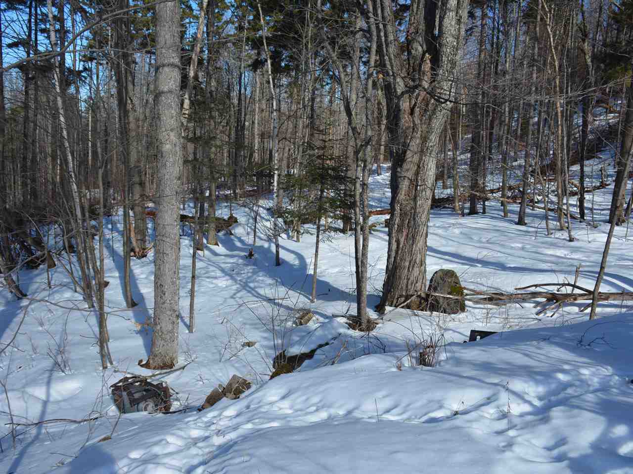 0 Cider Hill Road Warren, VT 05674 - Photo 39 of 40