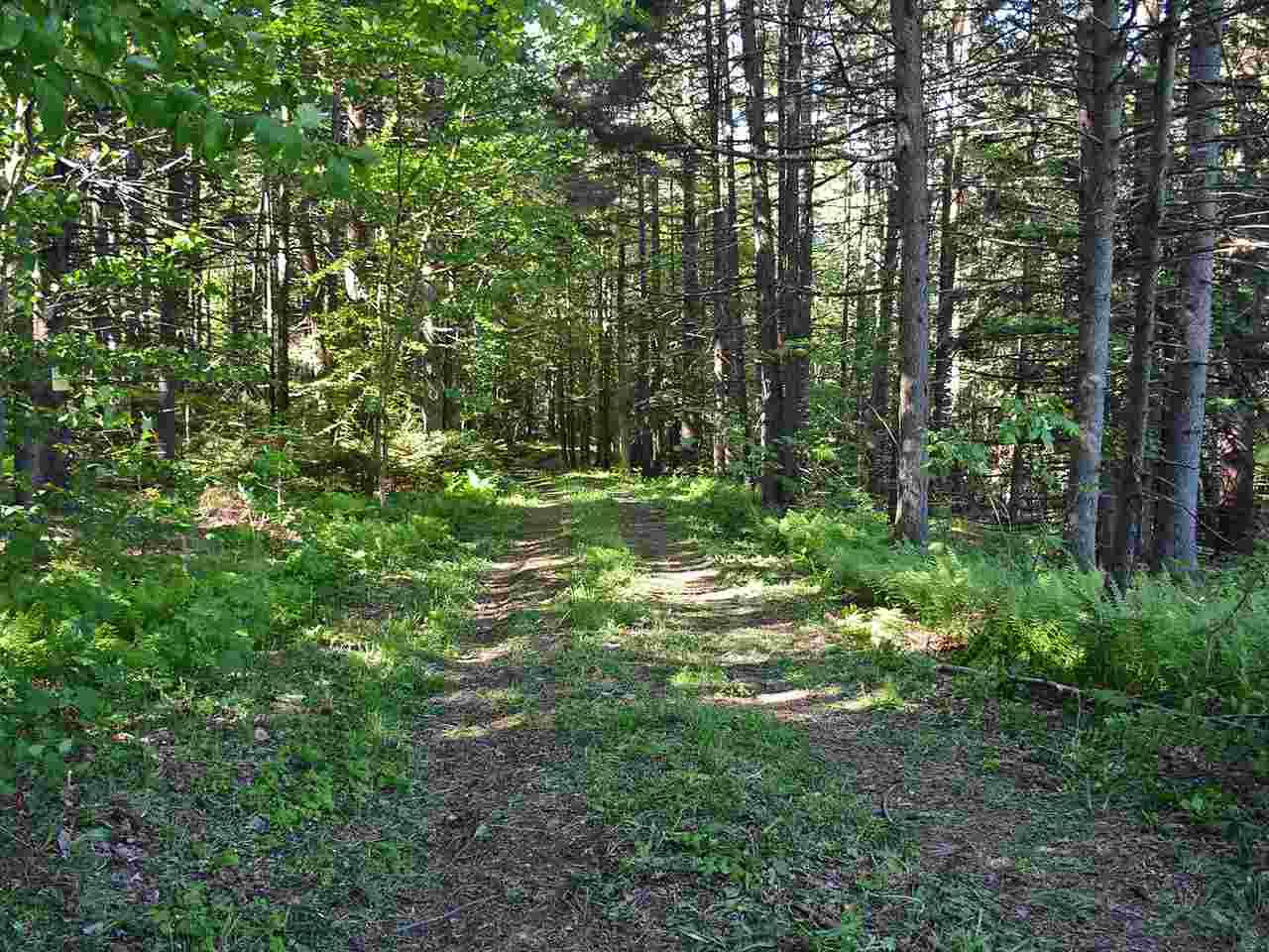 0 Cider Hill Road Warren, VT 05674 - Photo 9 of 40