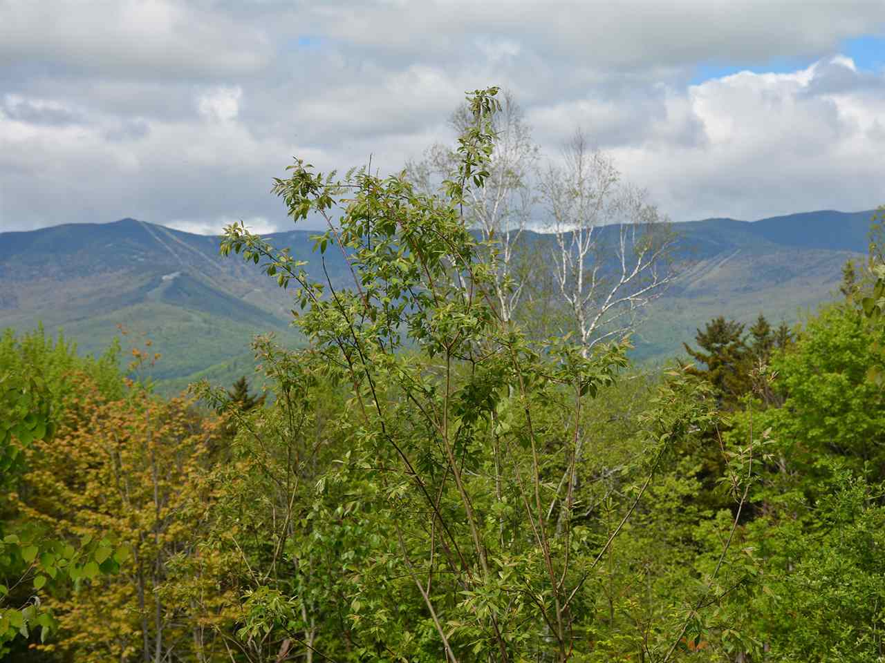 0 Cider Hill Road Warren, VT 05674 - Photo 10 of 40