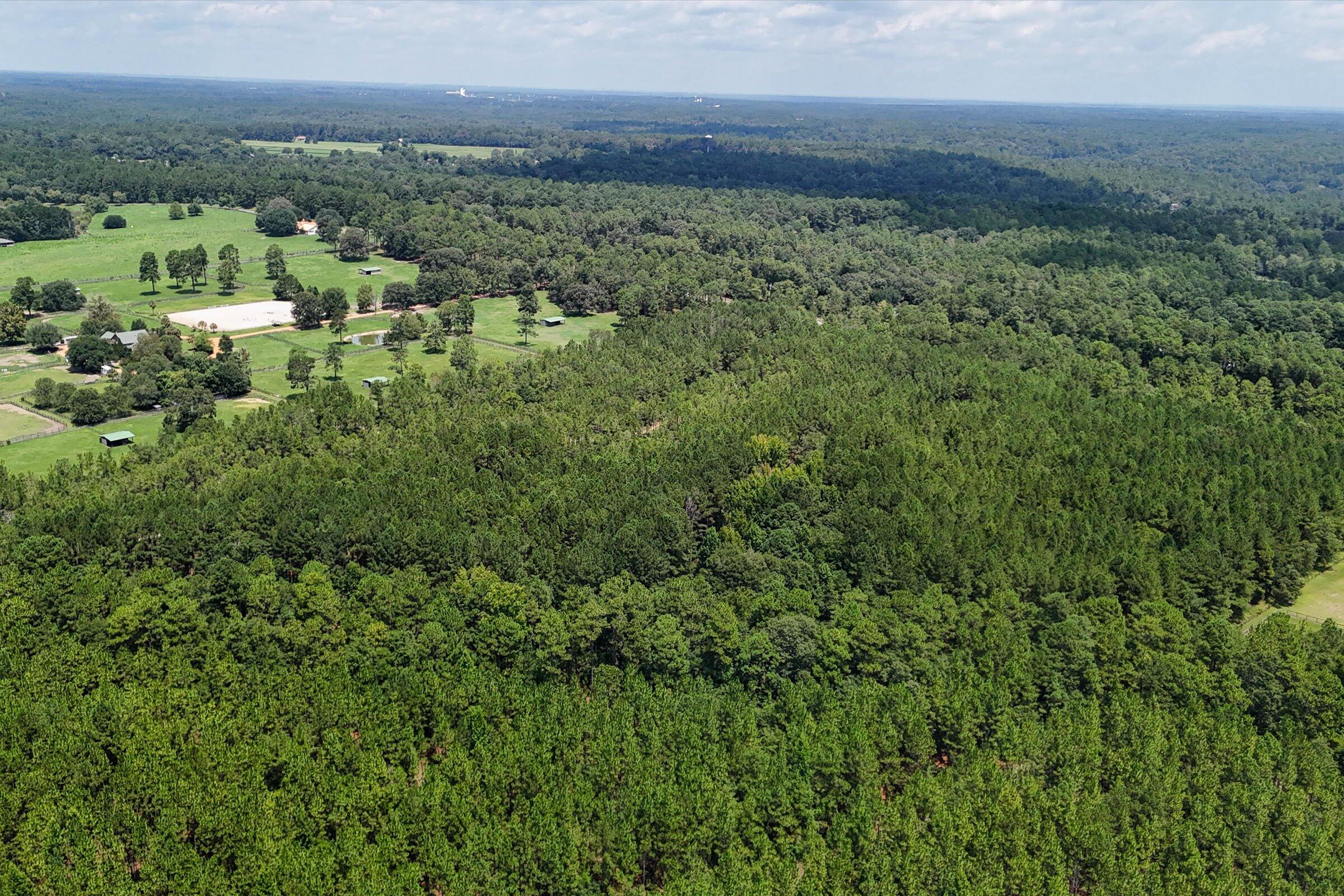 3320 Banks Mill Road Southeast Aiken, SC 29803 - Photo 8 of 20