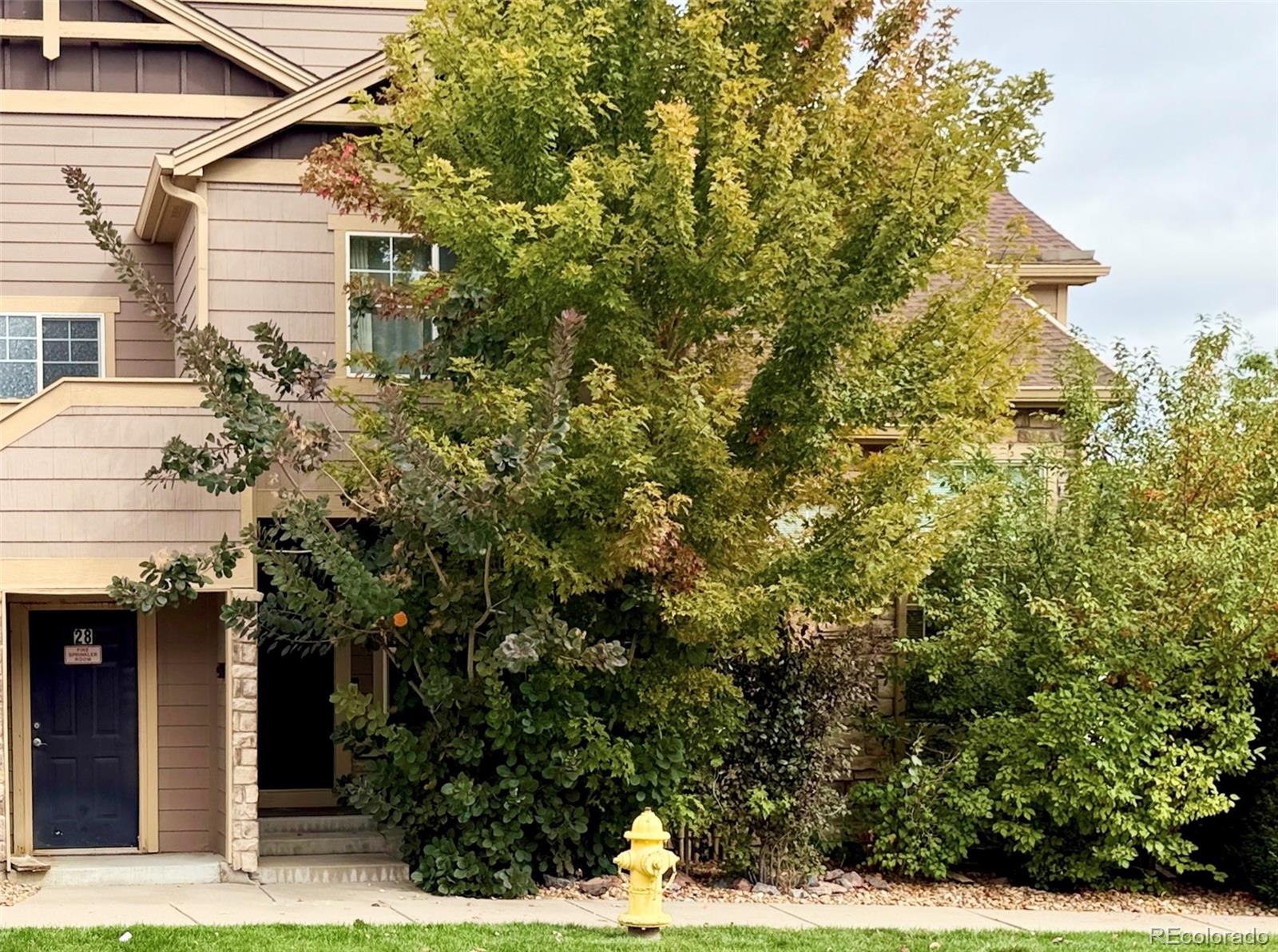 a view of a house with a tree
