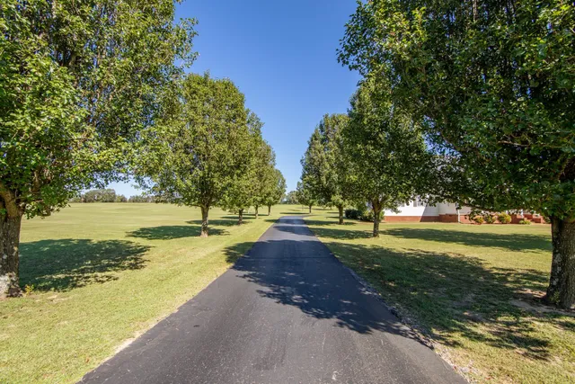 a view of a yard with an outdoor space