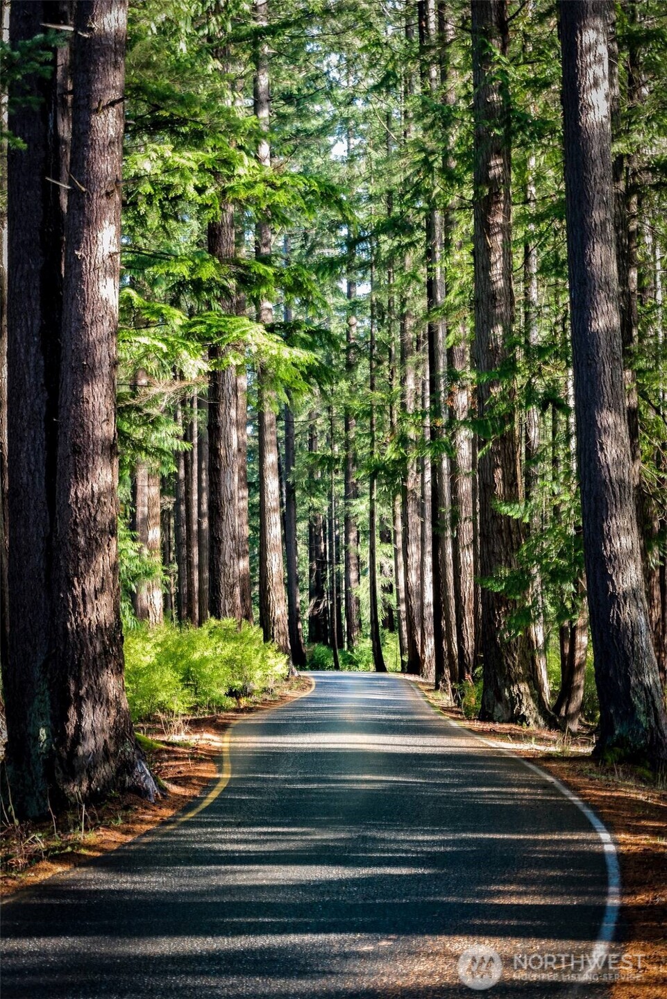 2 Marigold Drive, Unit 40 Bellingham, WA 98229 - Photo 20 of 34