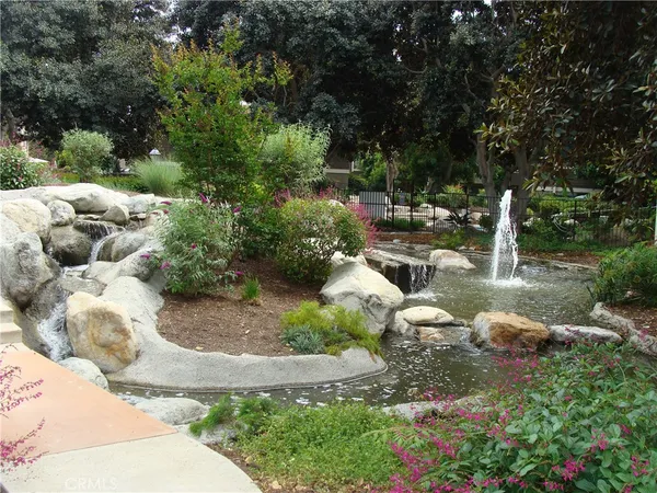 a view of a park with large trees