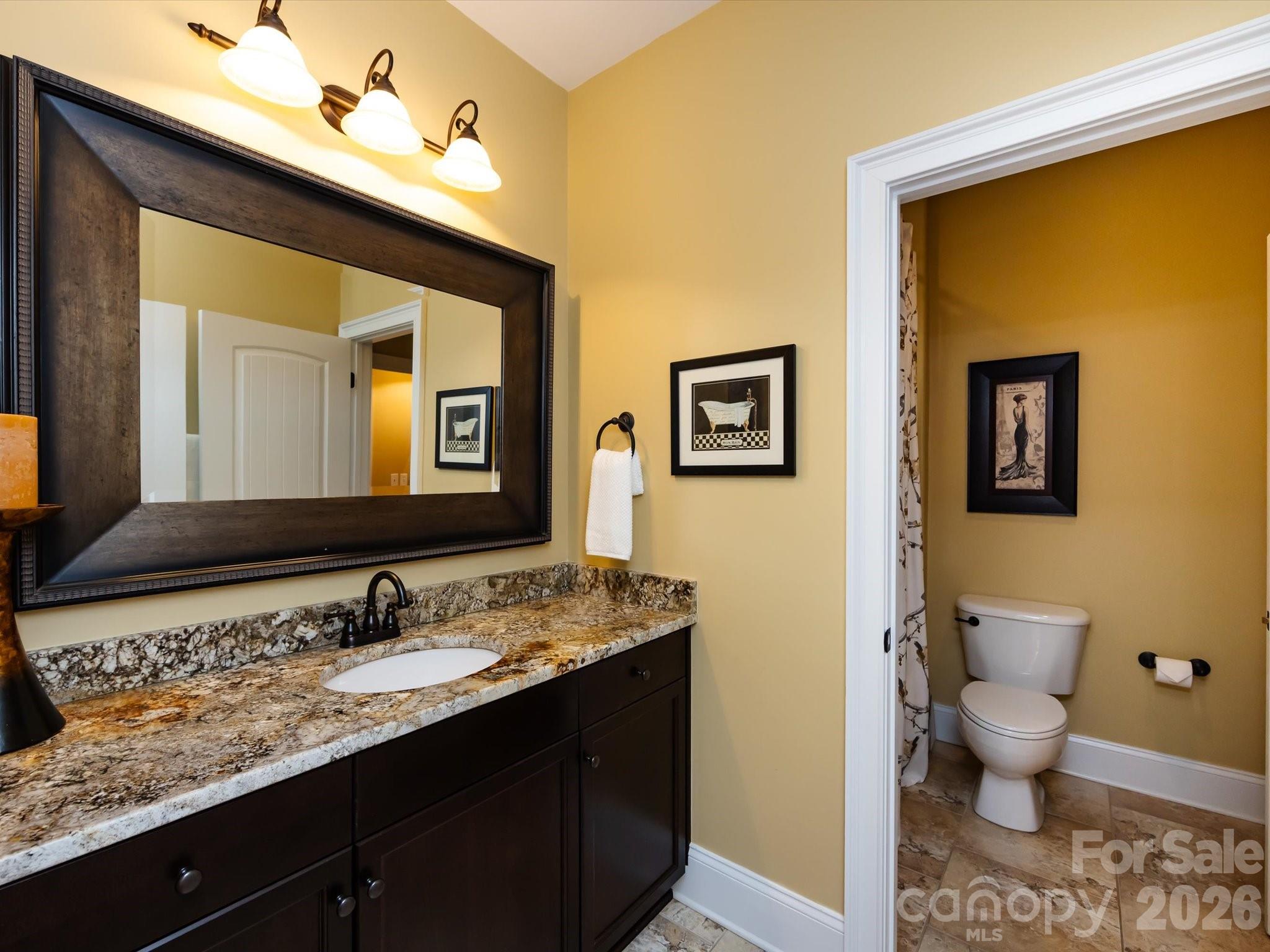 132 Chaska Loop Troutman, NC 28166 - Photo 33 of 48