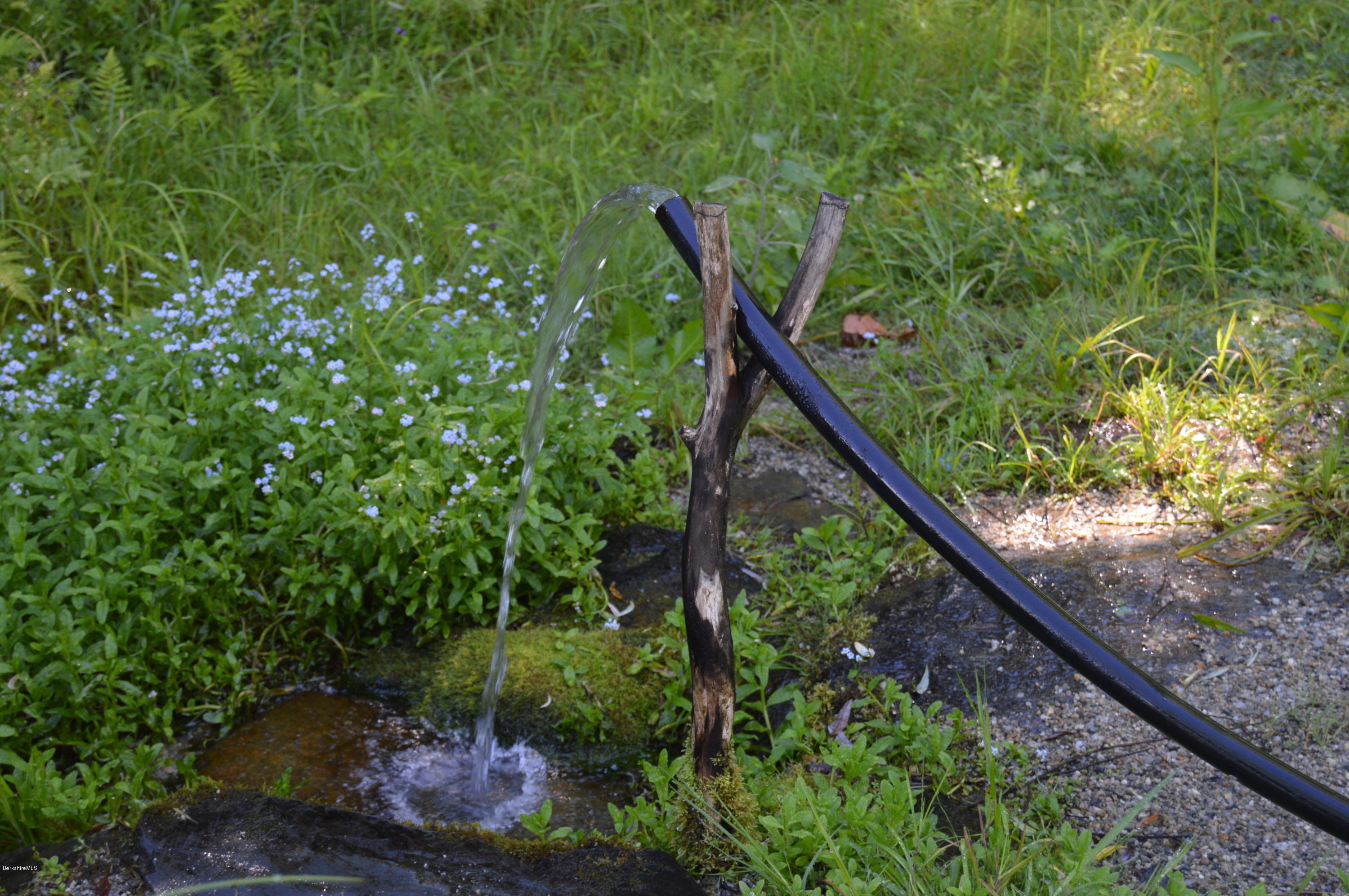 85-86 Windsor Pond Road Windsor, MA 01270 - Photo 11 of 22 a backyard of a house with lots of green space