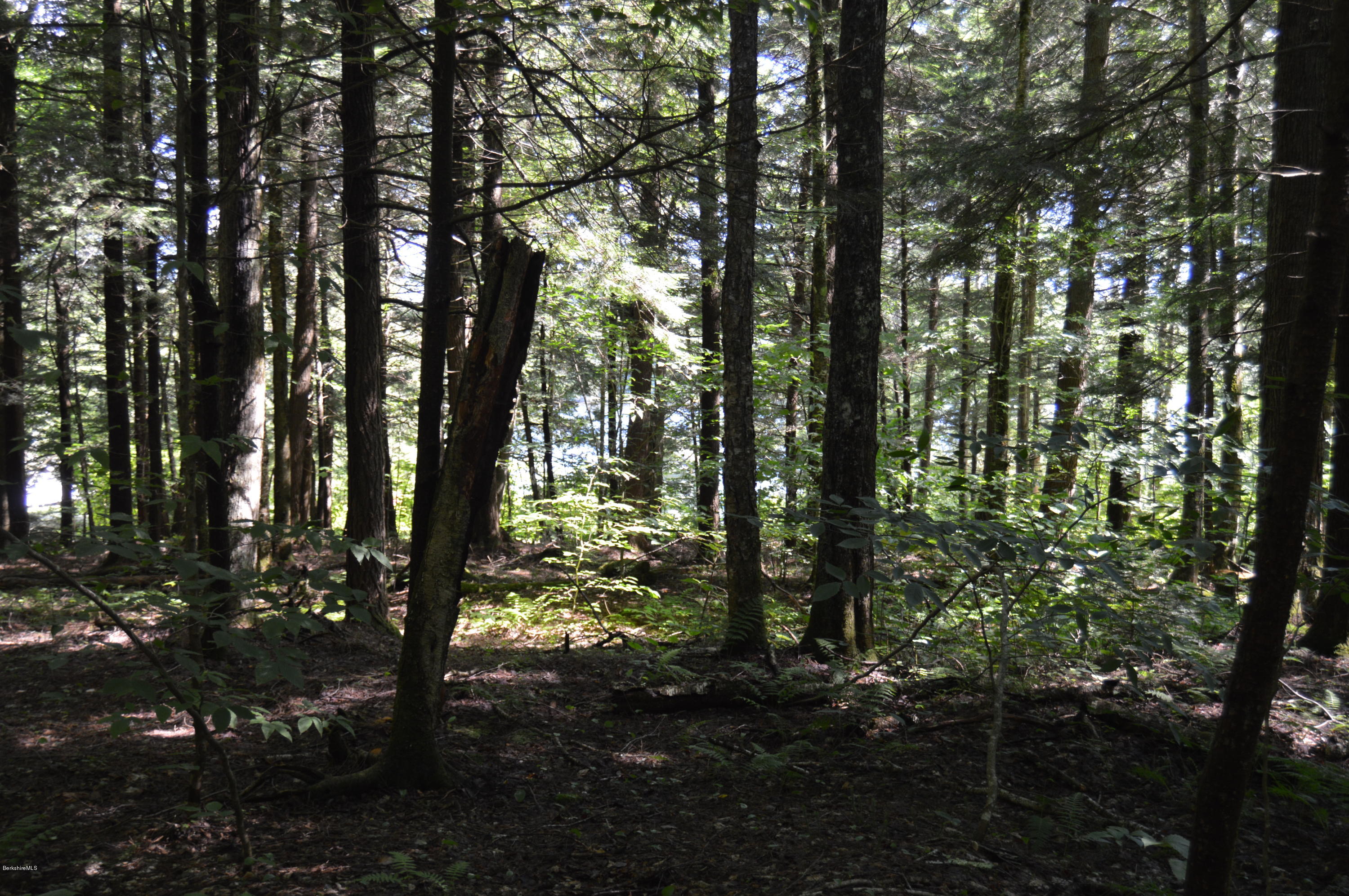 85-86 Windsor Pond Road Windsor, MA 01270 - Photo 12 of 22 a view of outdoor space and trees