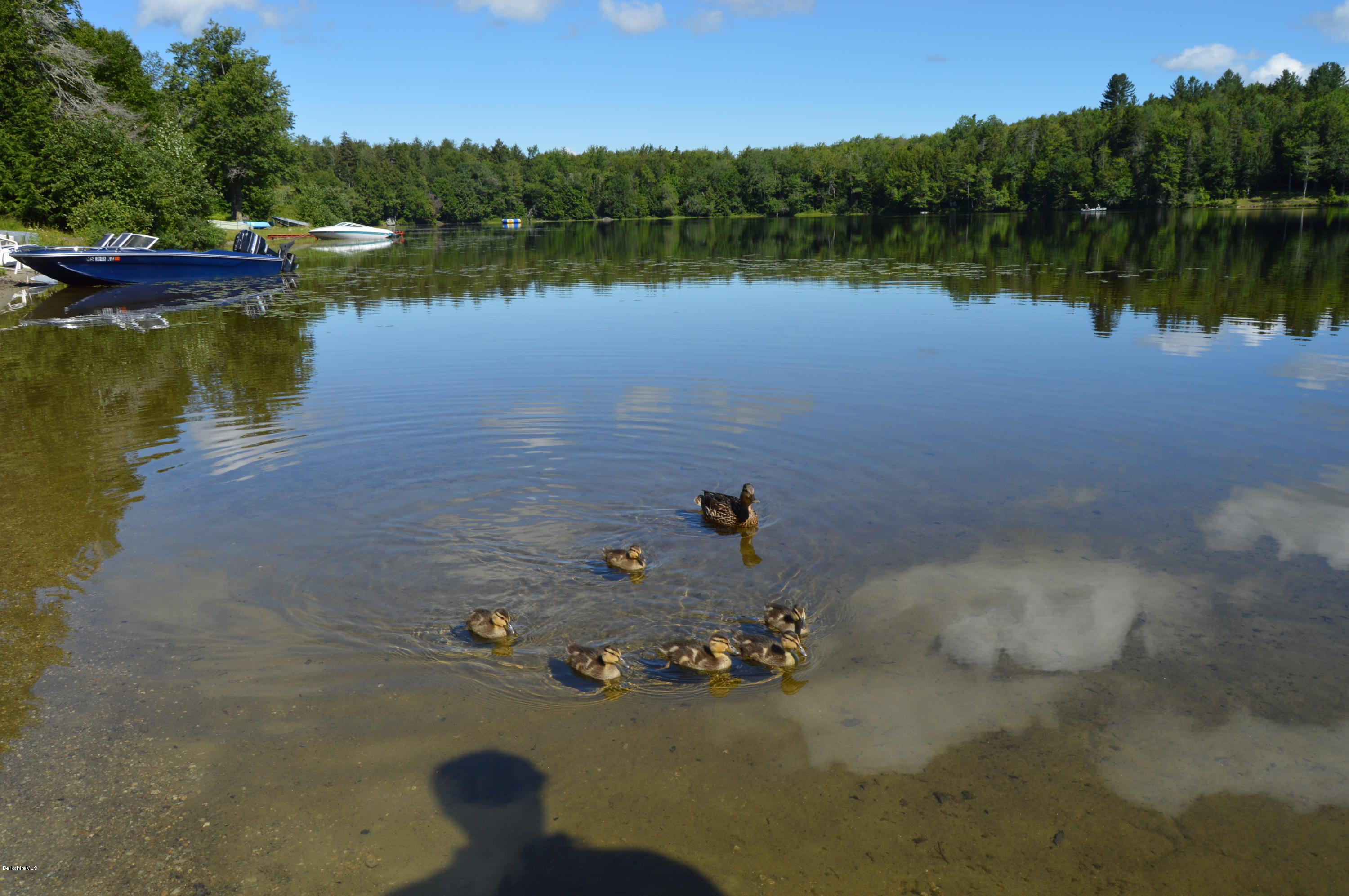 85-86 Windsor Pond Road Windsor, MA 01270 - Photo 7 of 22 a view of a lake