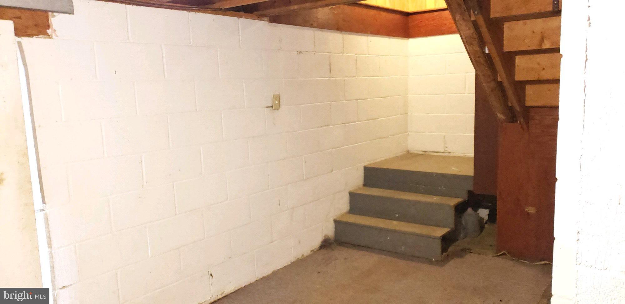 12306 Divide Ridge Road Little Orleans, MD 21766 - Photo 22 of 28 Basement