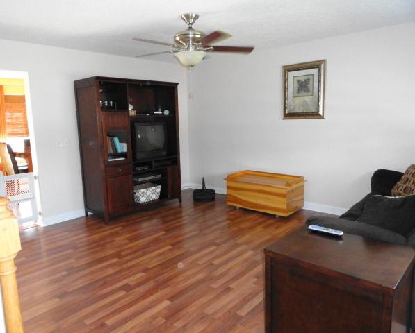 1908 Thesa Court Spring Hill, TN 37174 - Photo 3 of 11 Open and bright livingroom with high ceilings.
