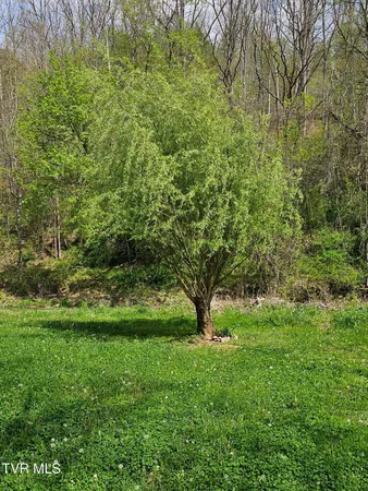 $69,000 | 32222 Old Saltworks Road, Meadowview, VA 24361