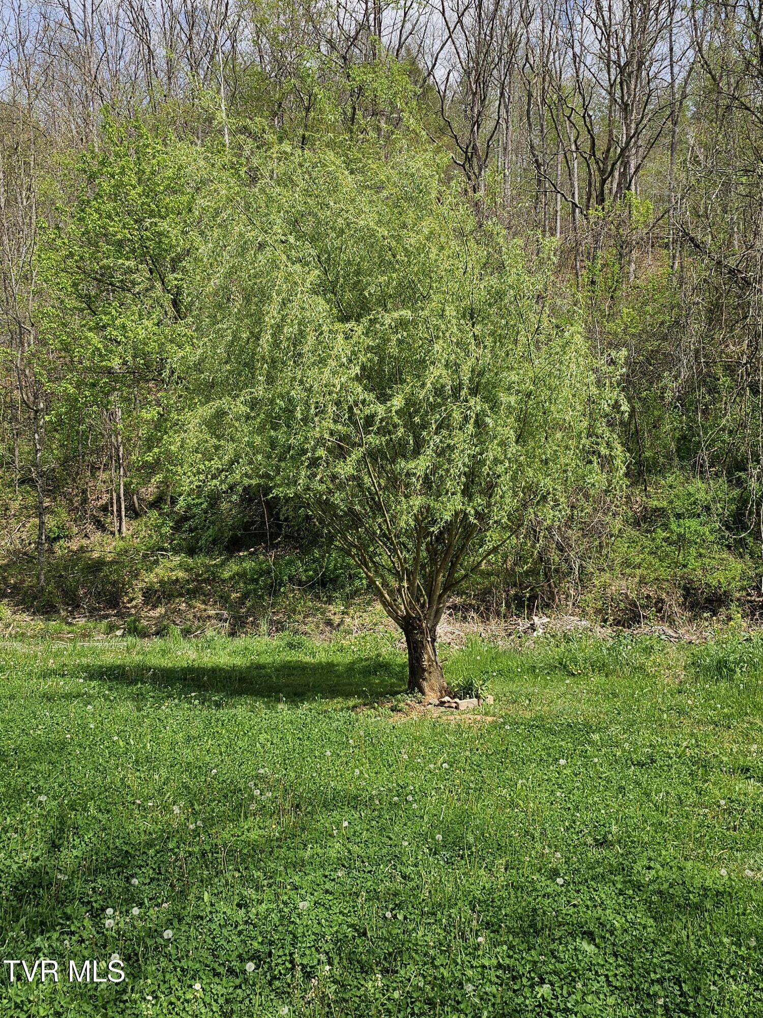 32222 Old Saltworks Road Meadowview, VA 24361 - Photo 12 of 13 20260417_150112